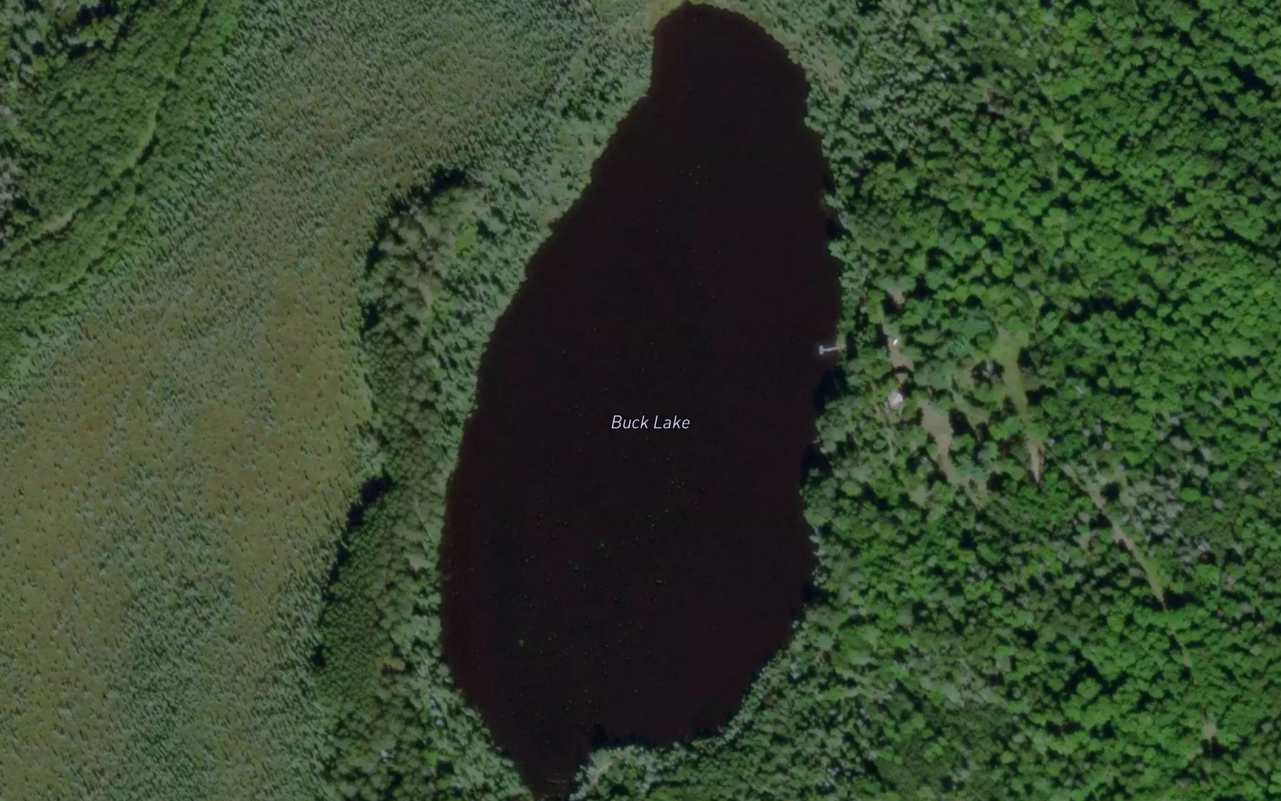 Satellite map of the Buck Lake