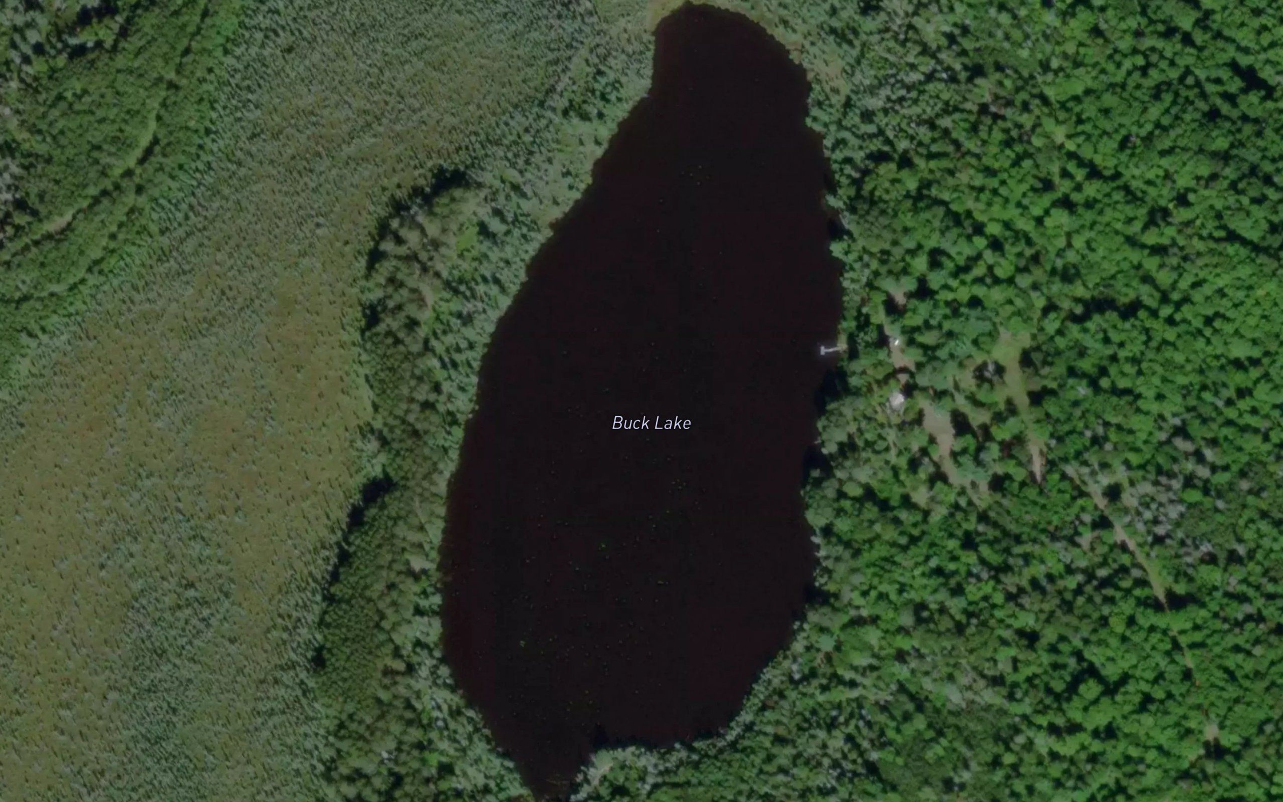 Buck Lake
