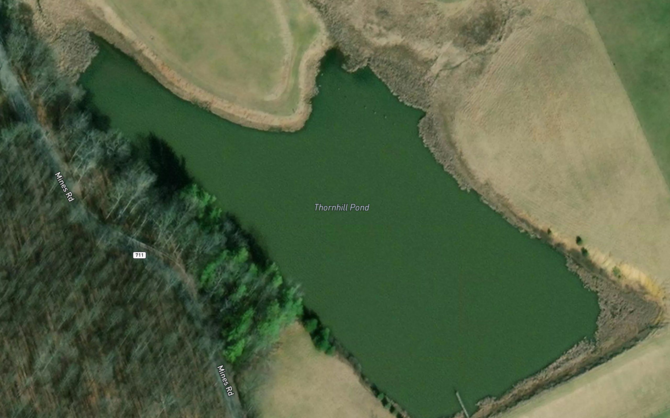 Thornhill Pond