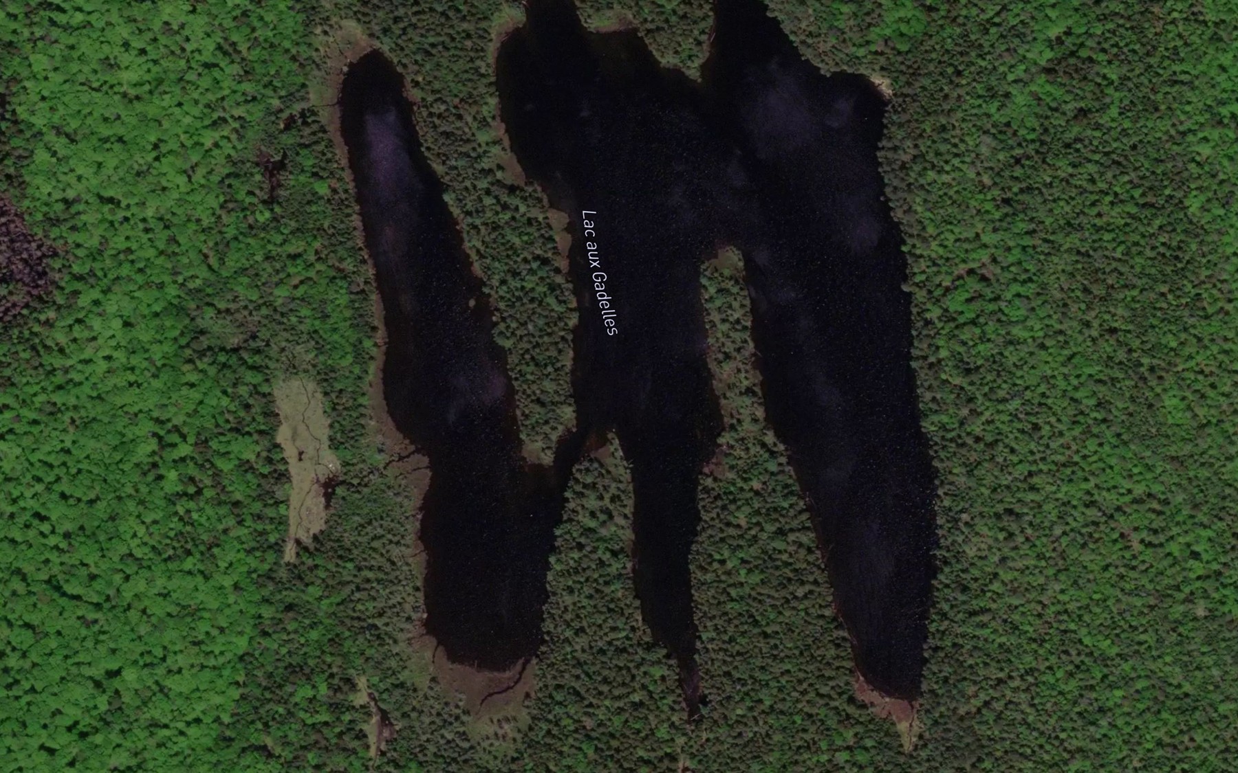 Satellite map of the Lac aux Gadelles