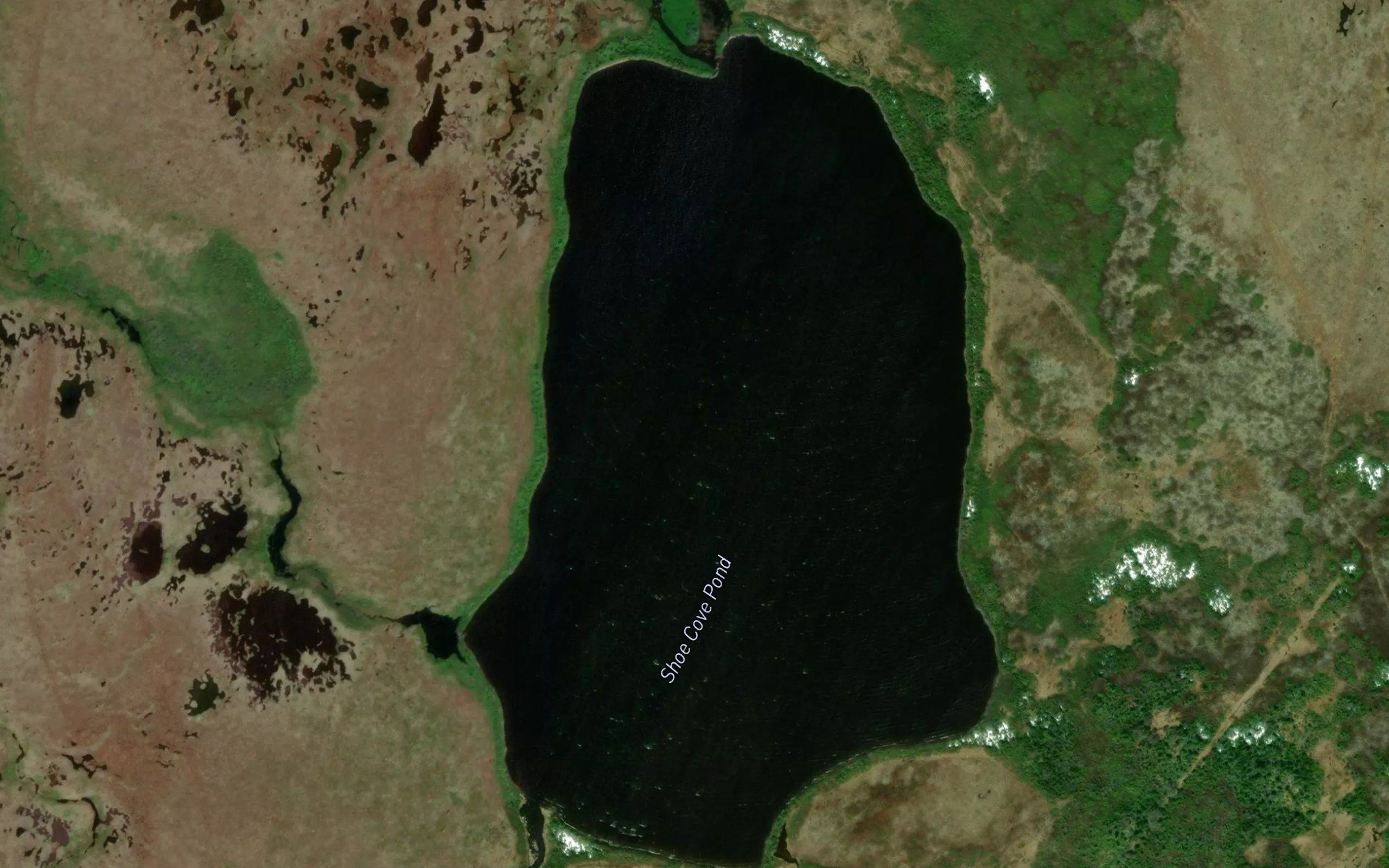 Shoe Cove Pond