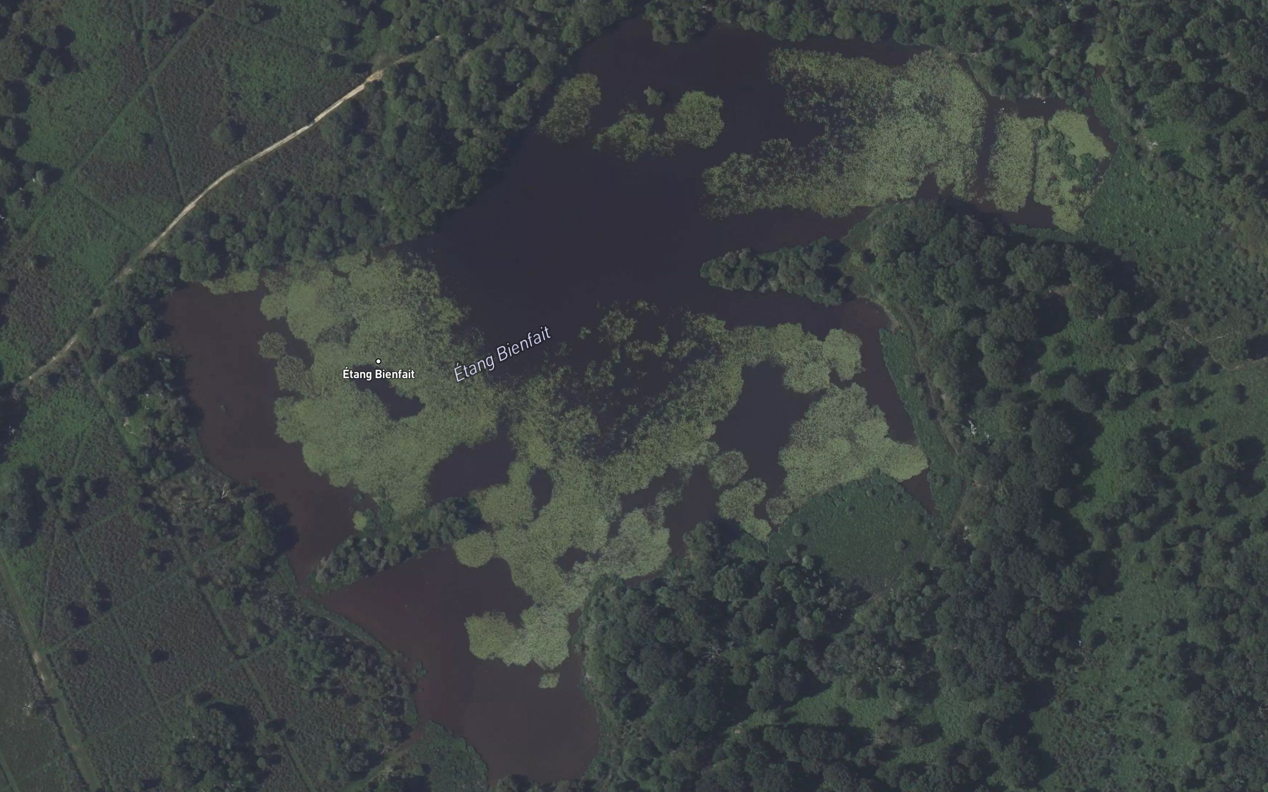 Etang de Barriere