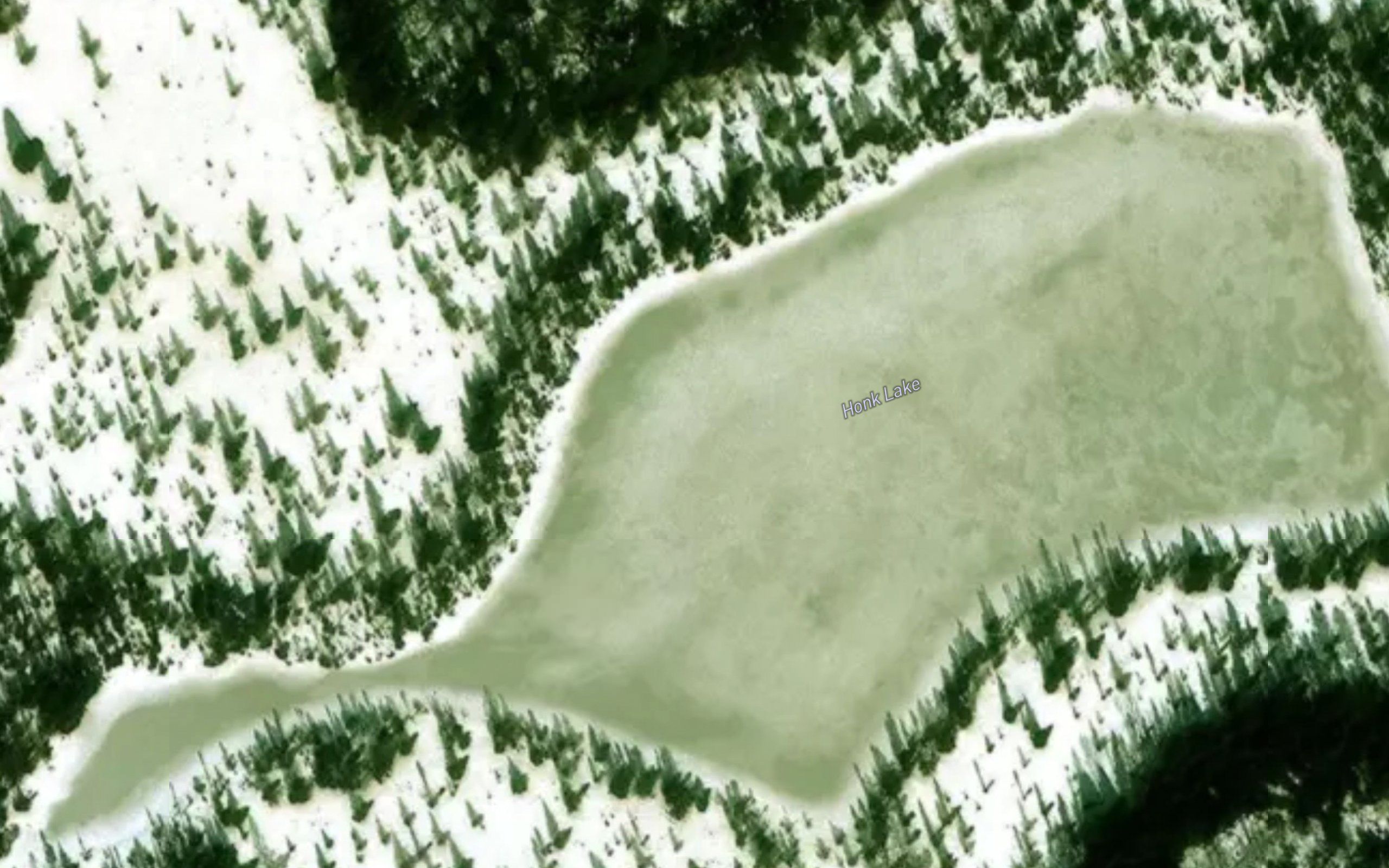 Honk Lake