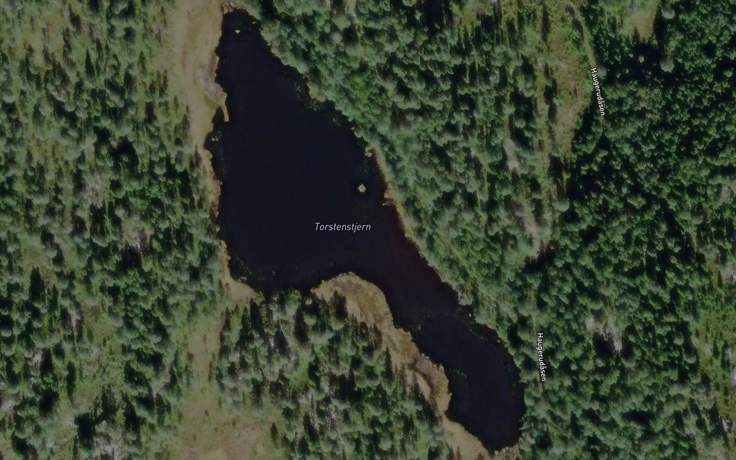 Torstenstjern