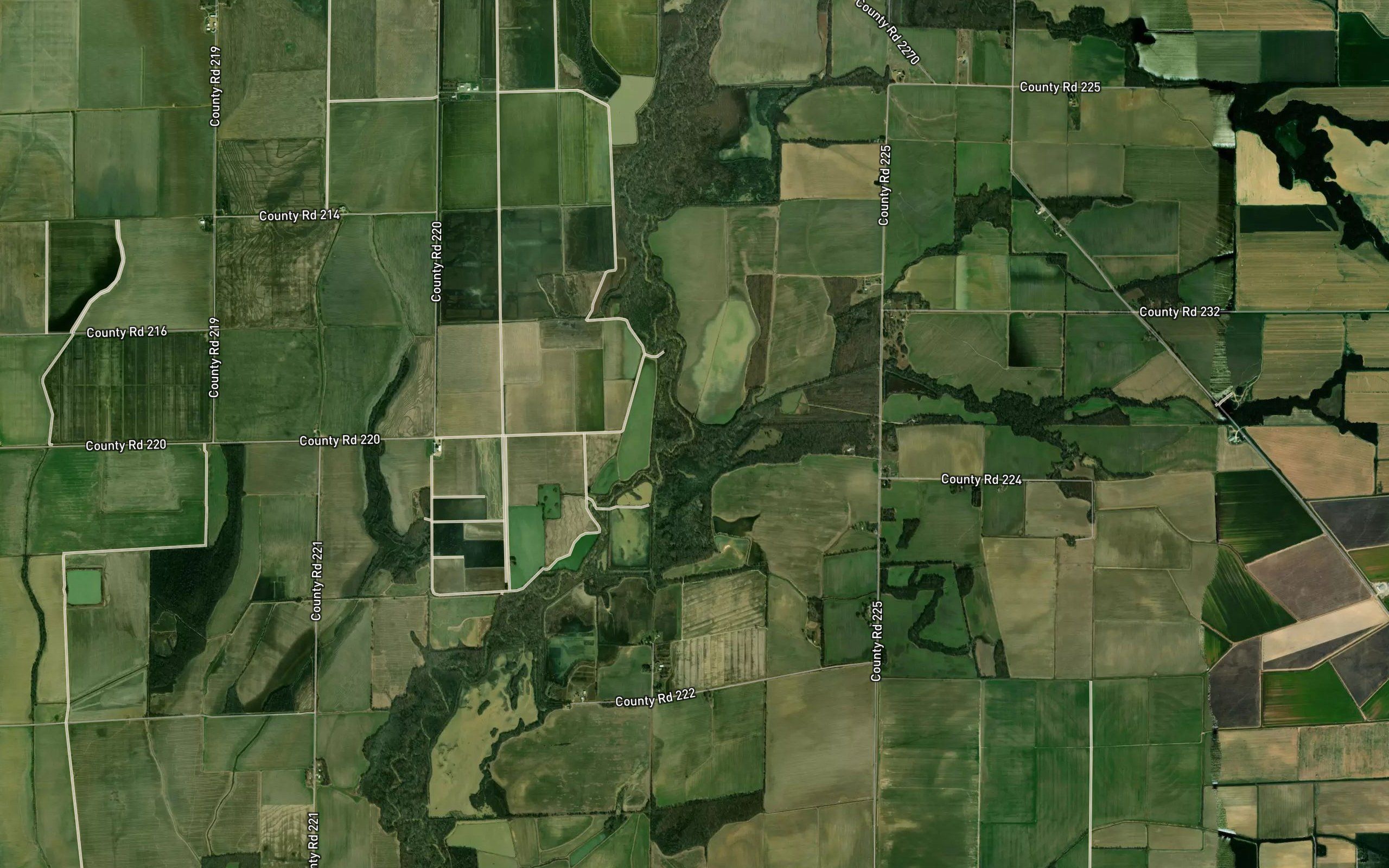 McFaran Branch