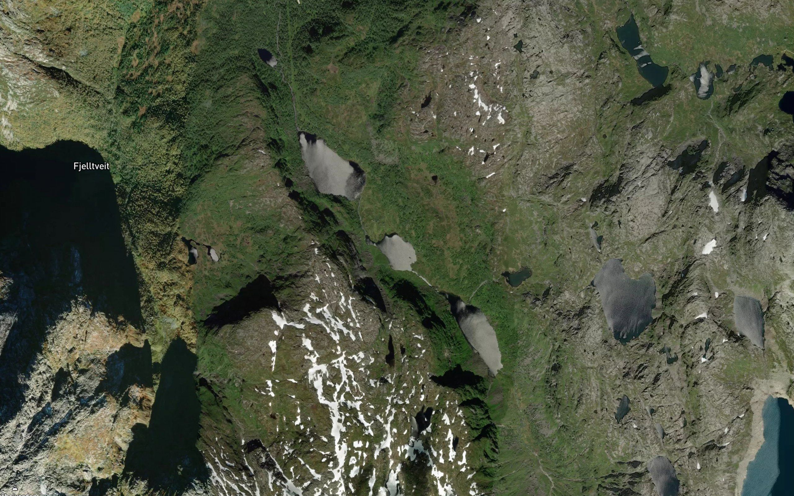 Freddalsvatnet