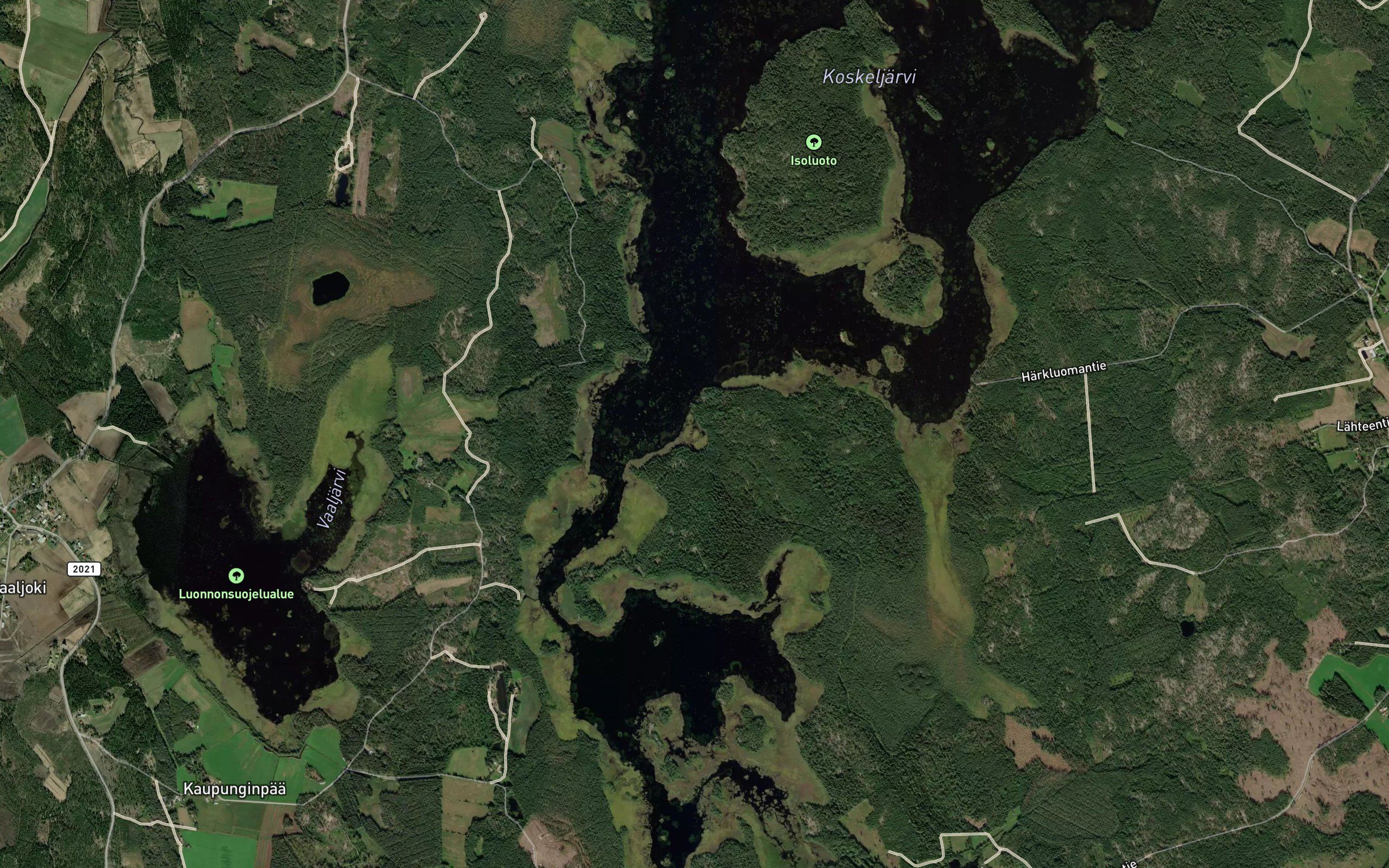 Nuottakodanlahti