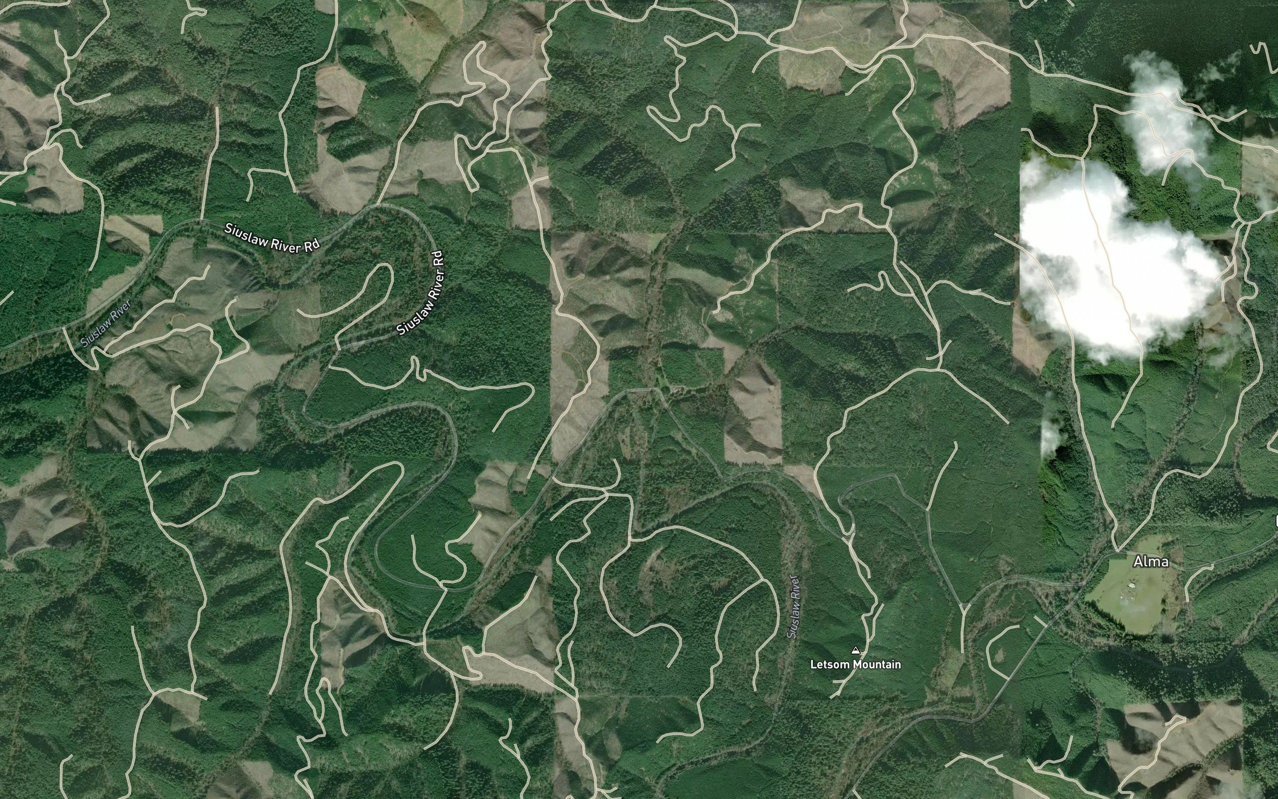 Layne Creek