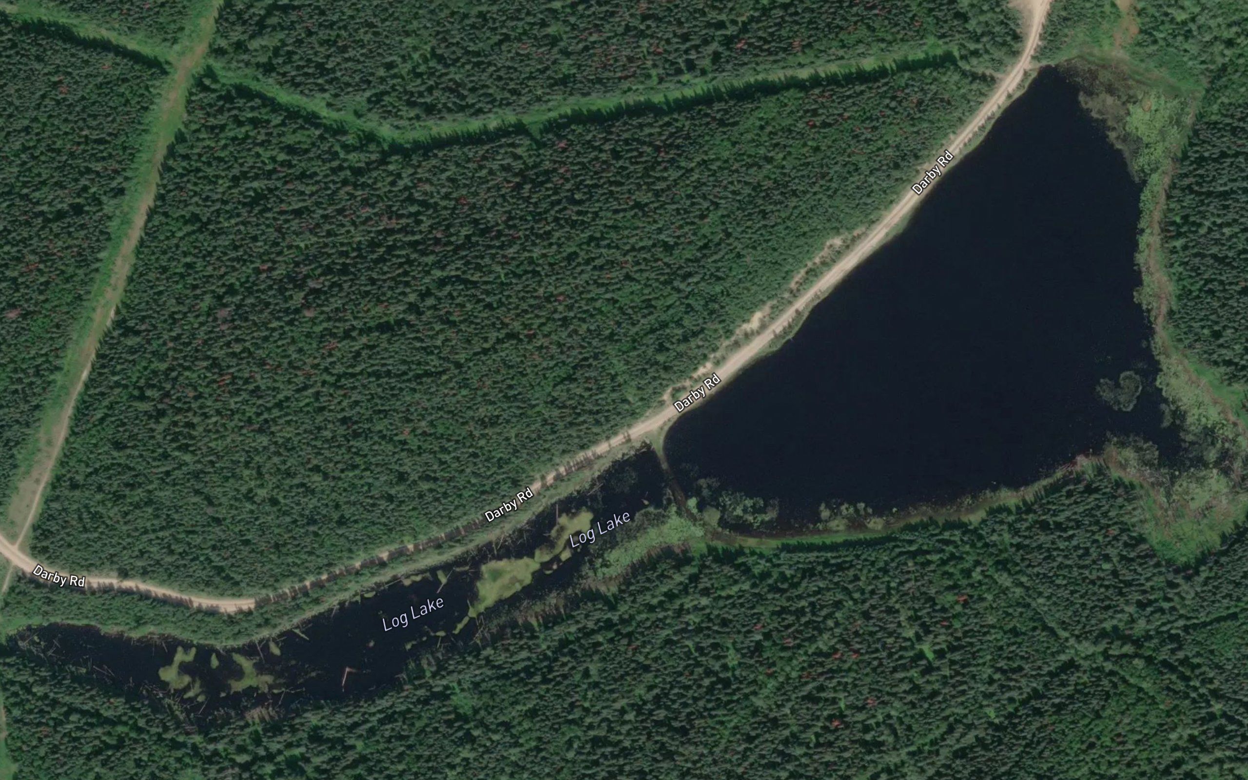 Log Lake
