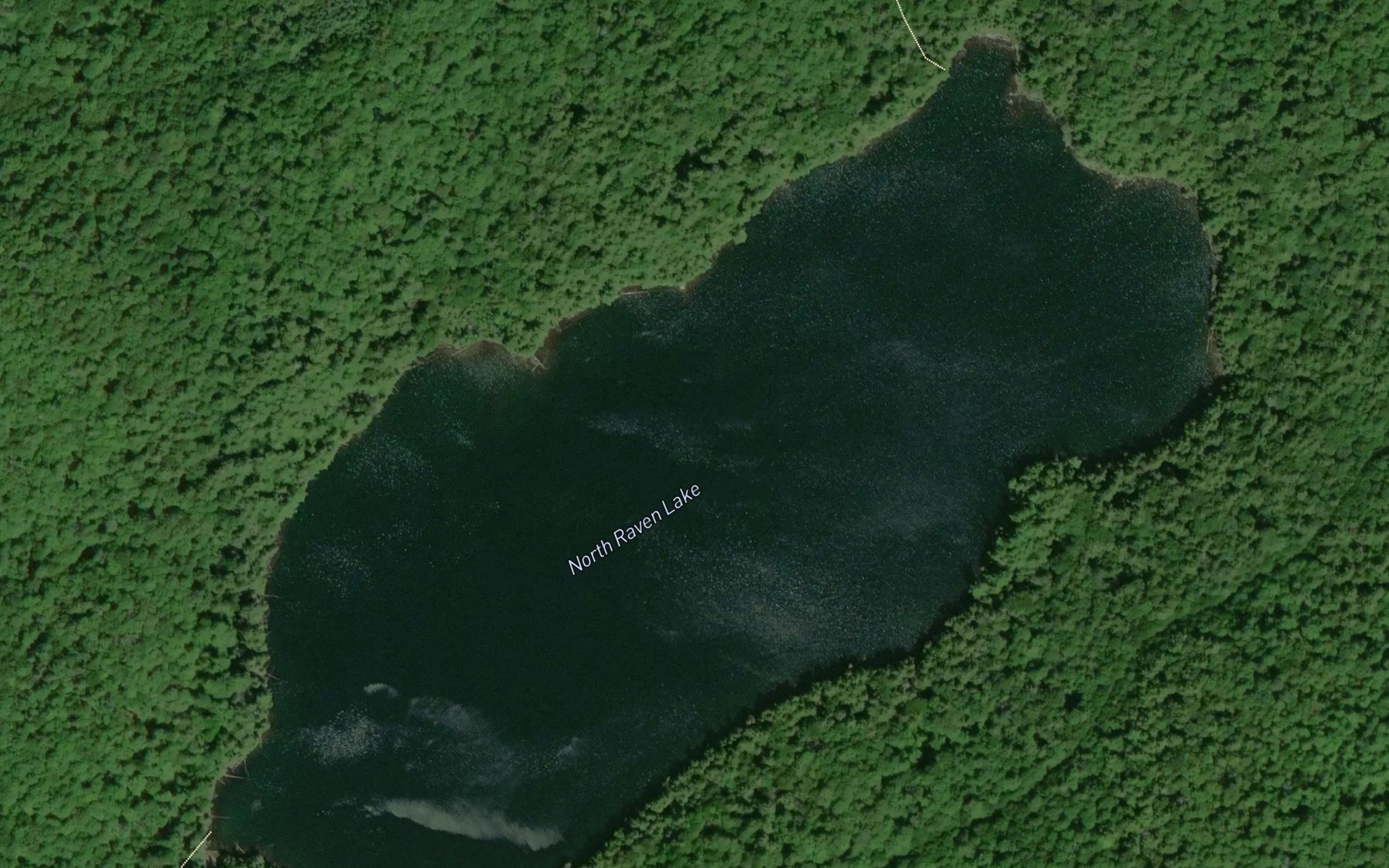 Satellite map of the North Raven Lake
