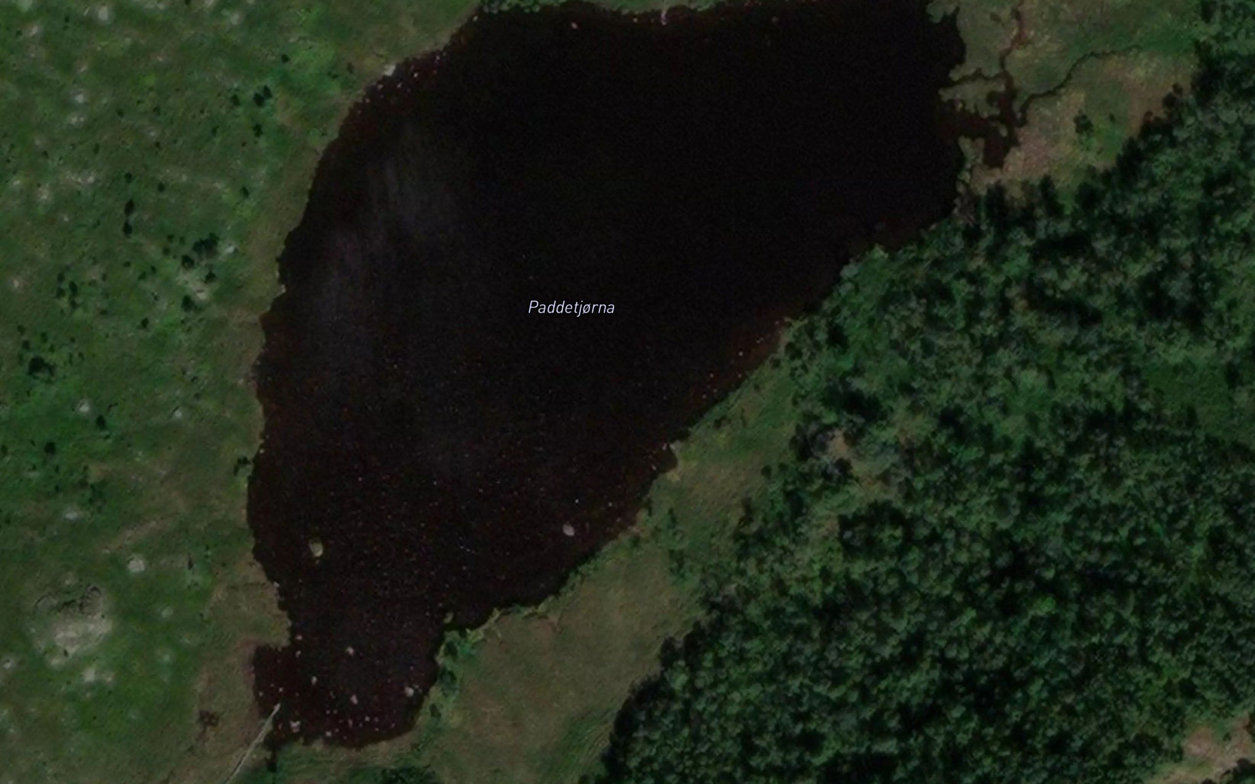 Paddetjorna