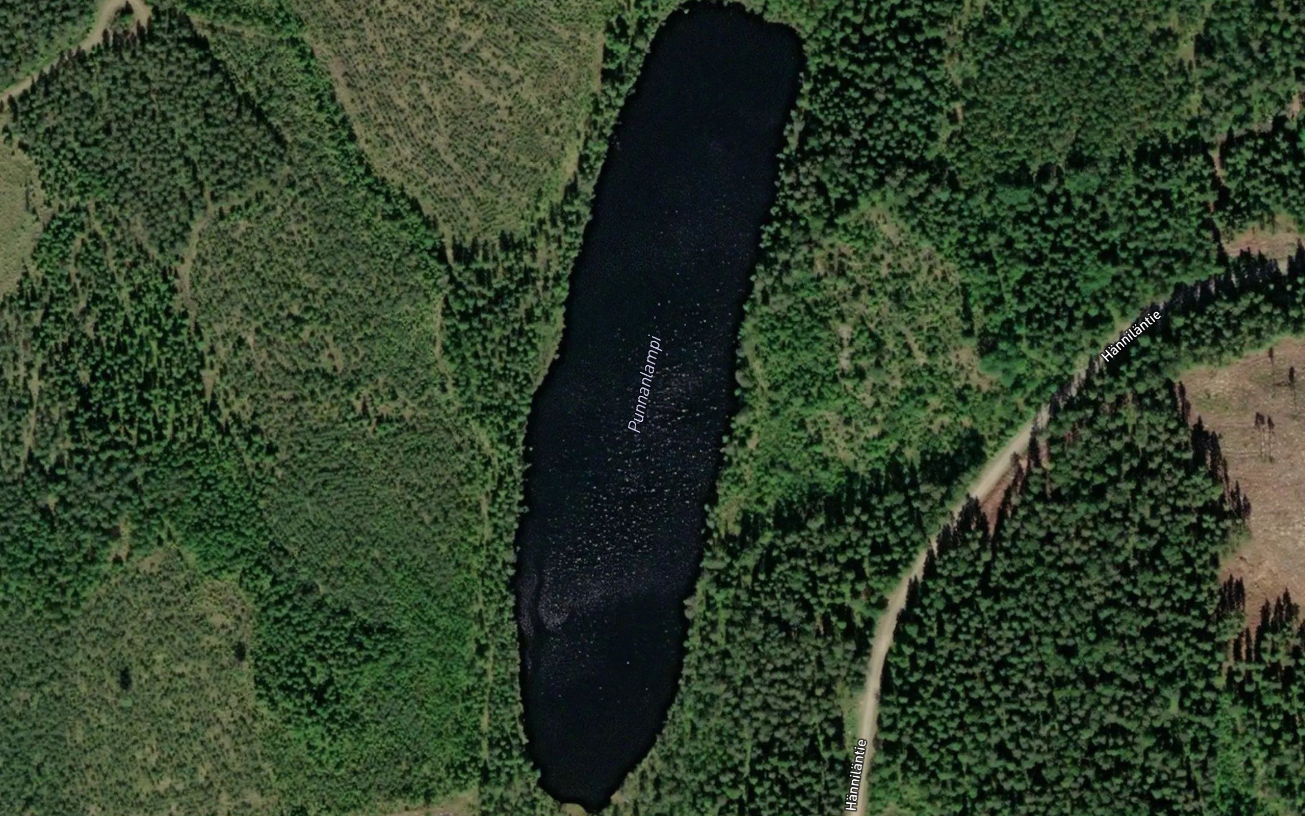 Punnanlampi