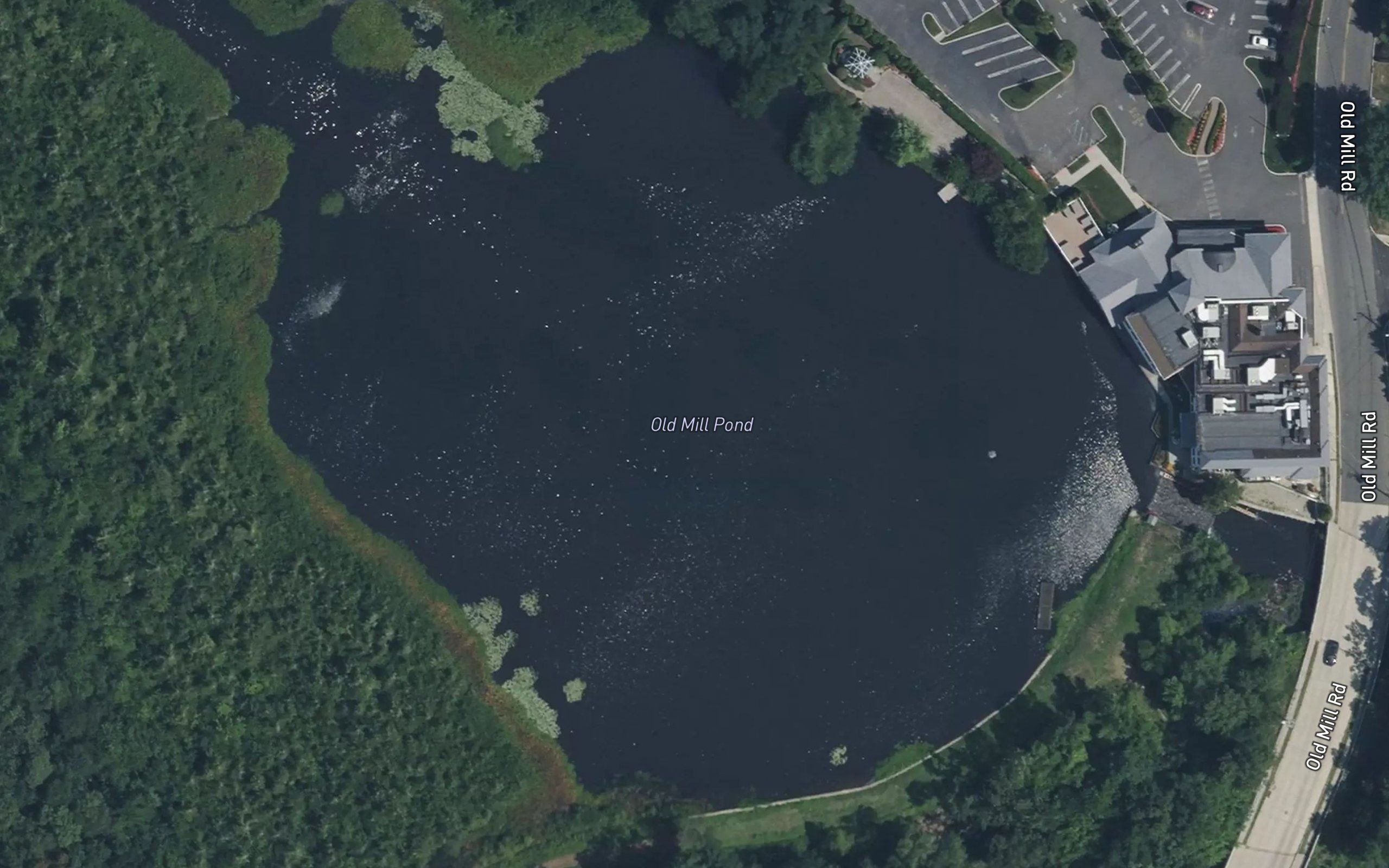 Old Mill Pond