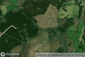 Little Lynches Creek