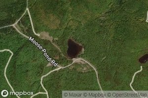 Moose Pond