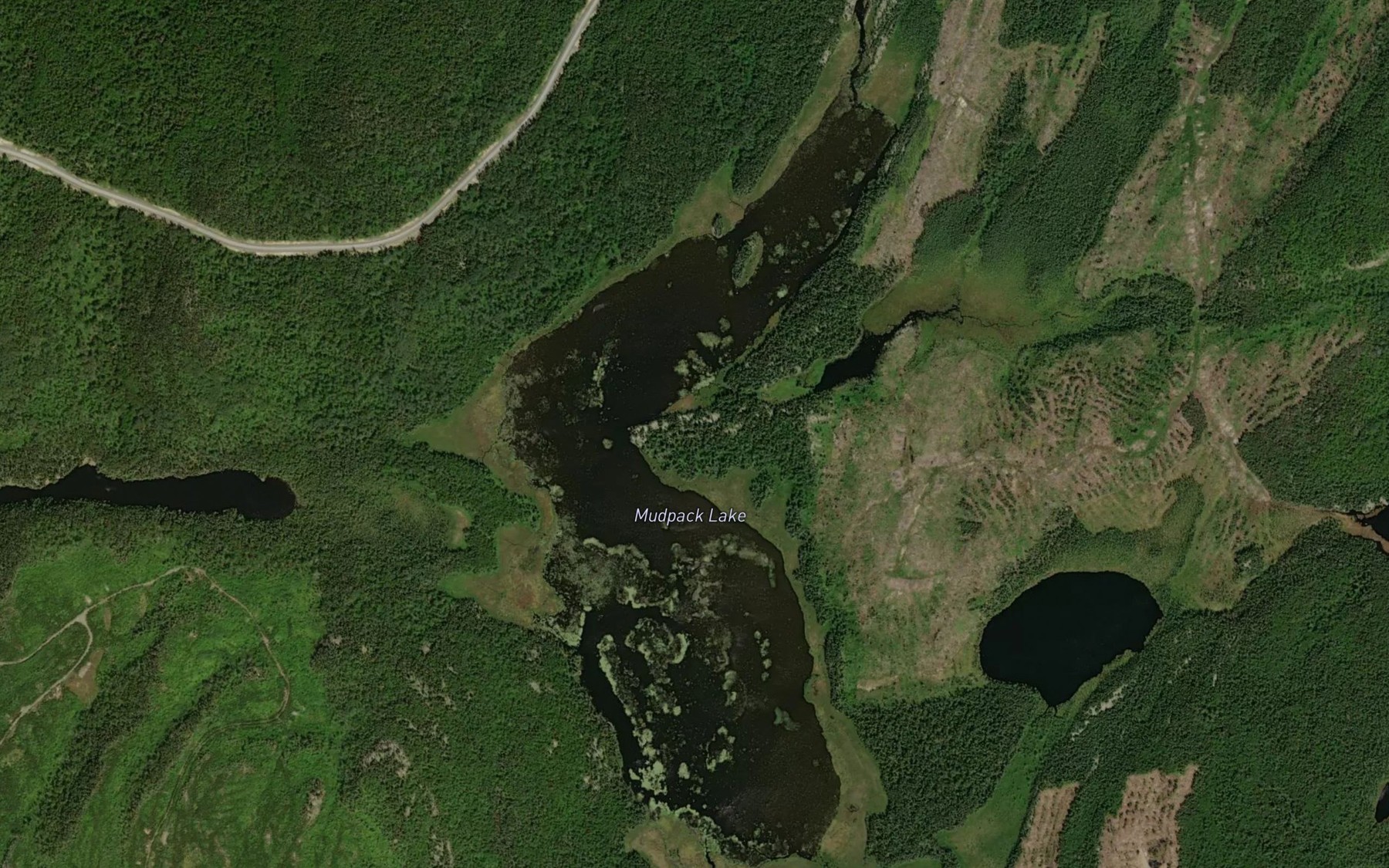 Satellite map of the Mudpack Lake