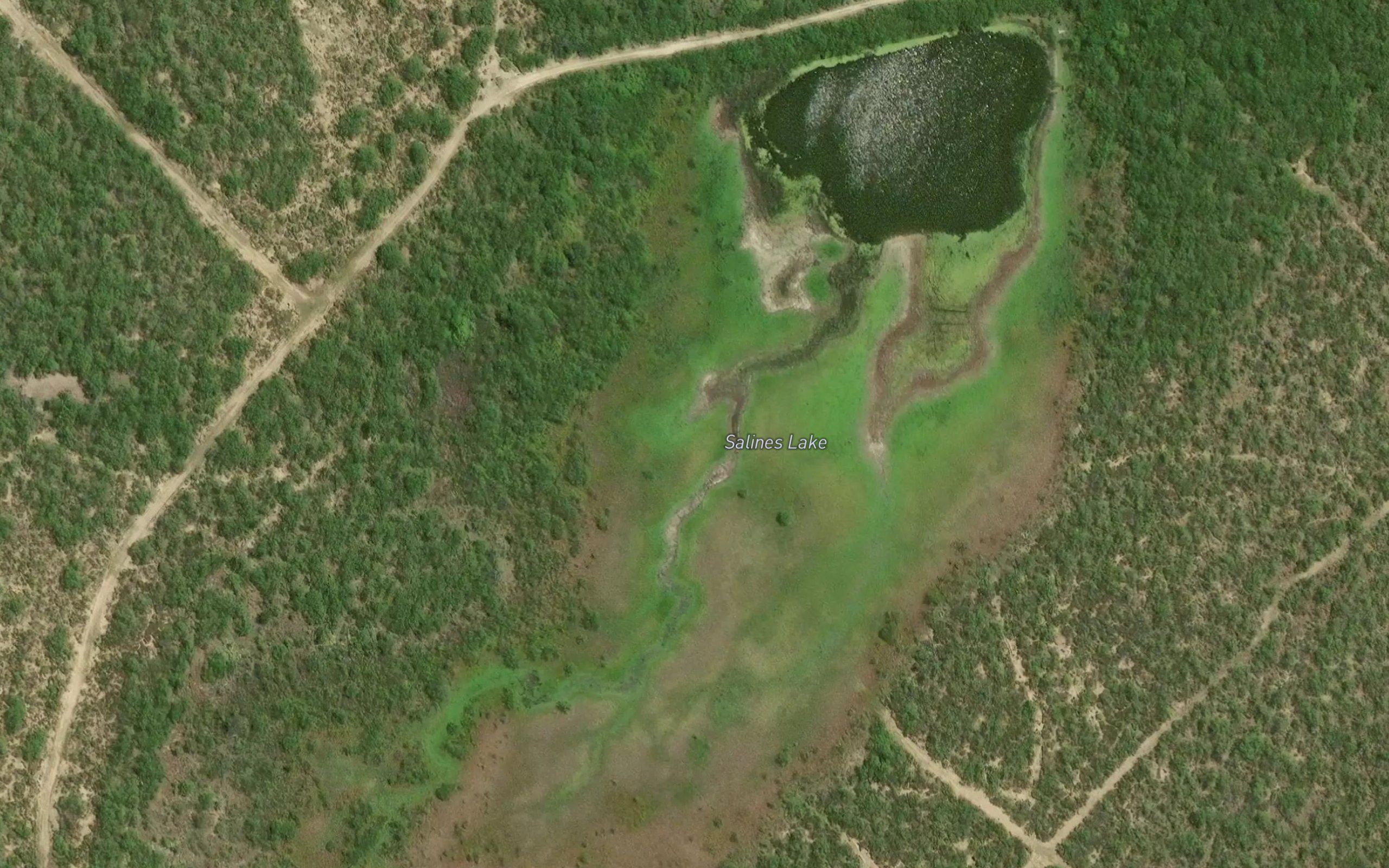 Salines Lake
