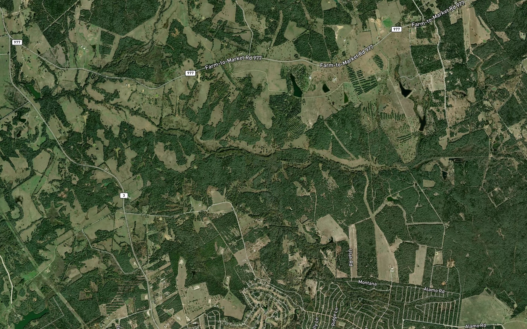 Satellite map of the Sycamore Branch