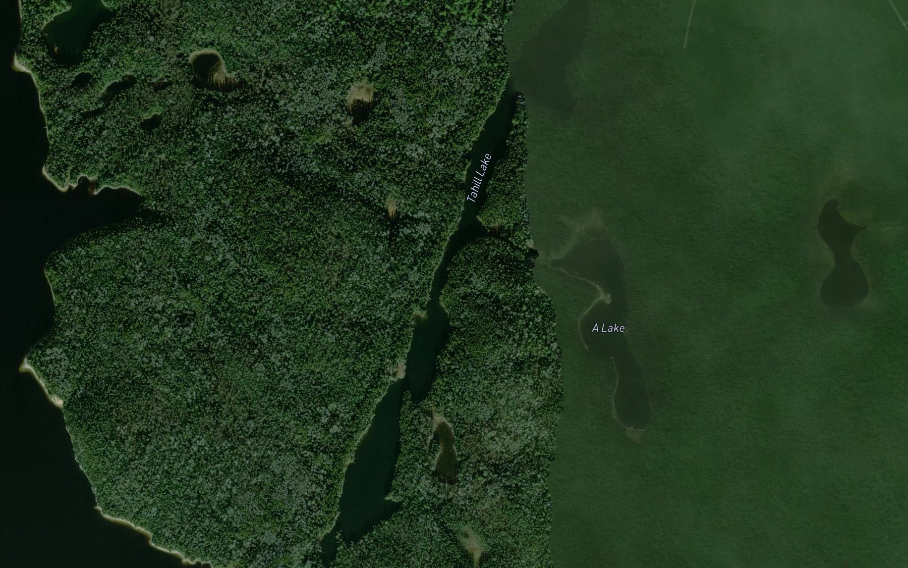 Satellite map of the Tahill Lake