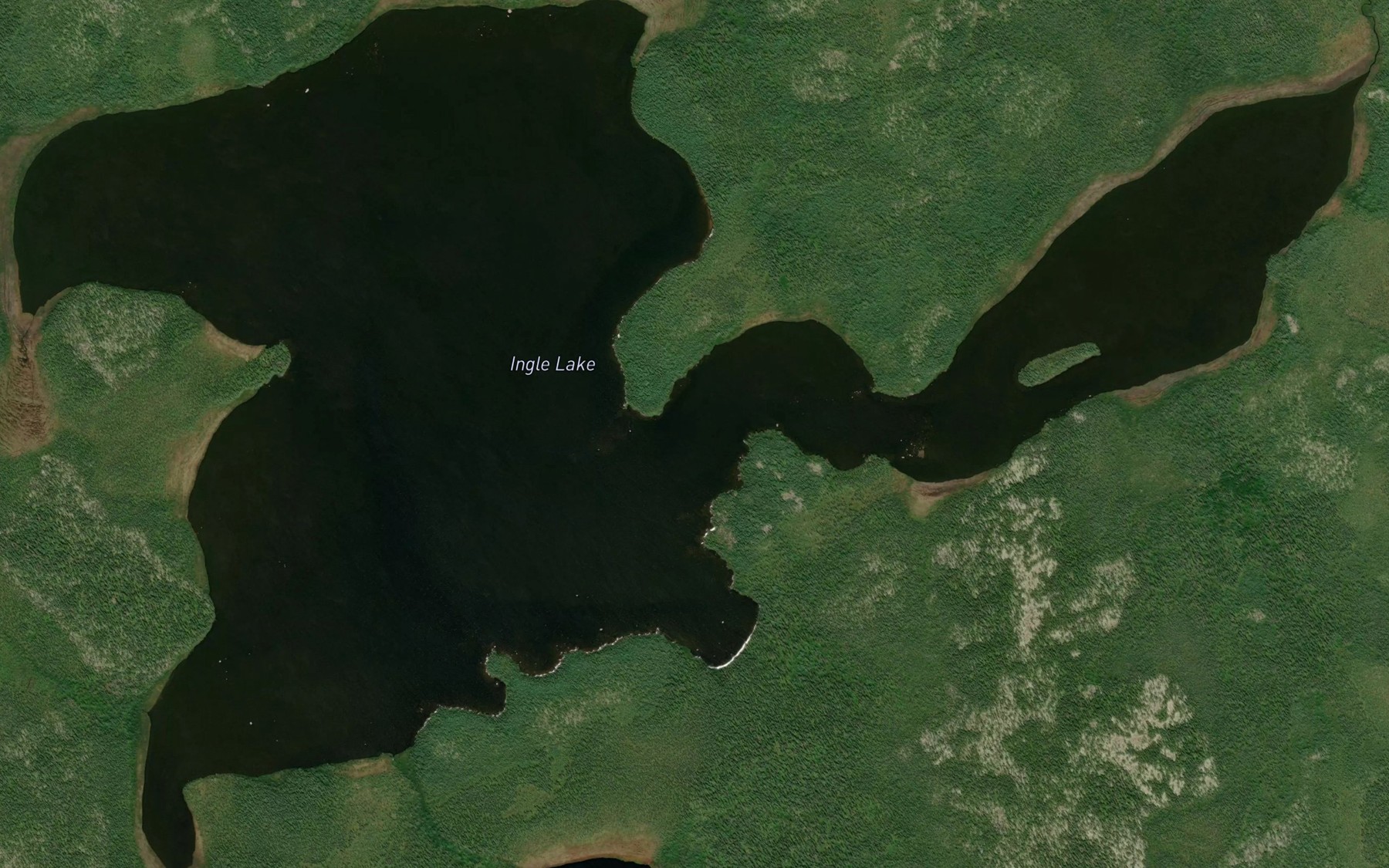 Satellite map of the Ingle Lake