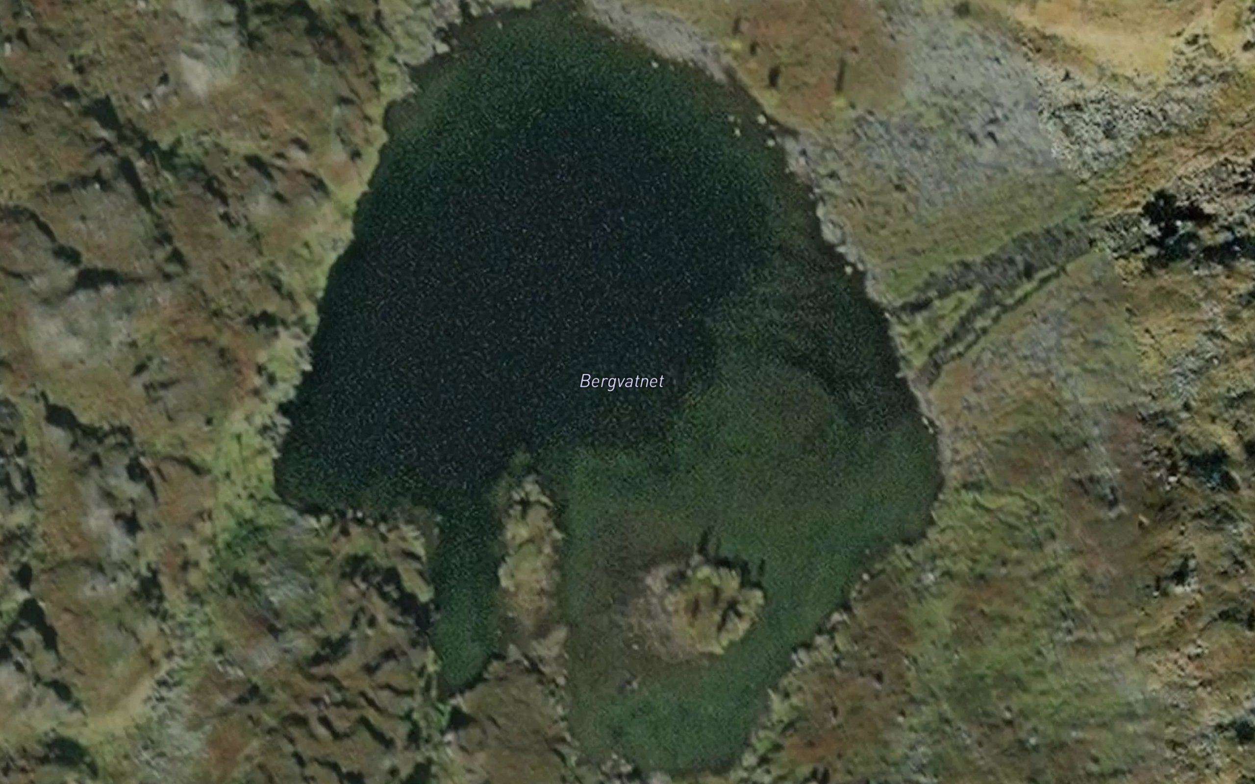 Bergvatnet