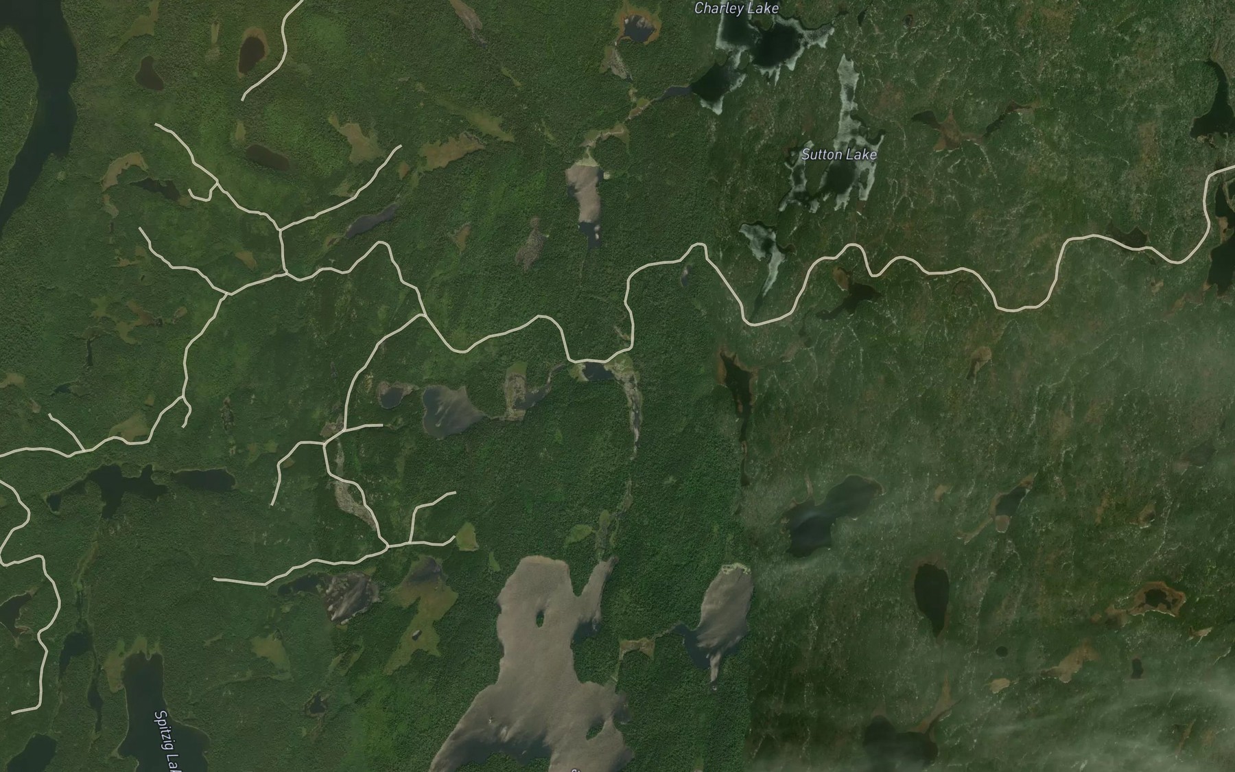 Satellite map of the Pineview Lake
