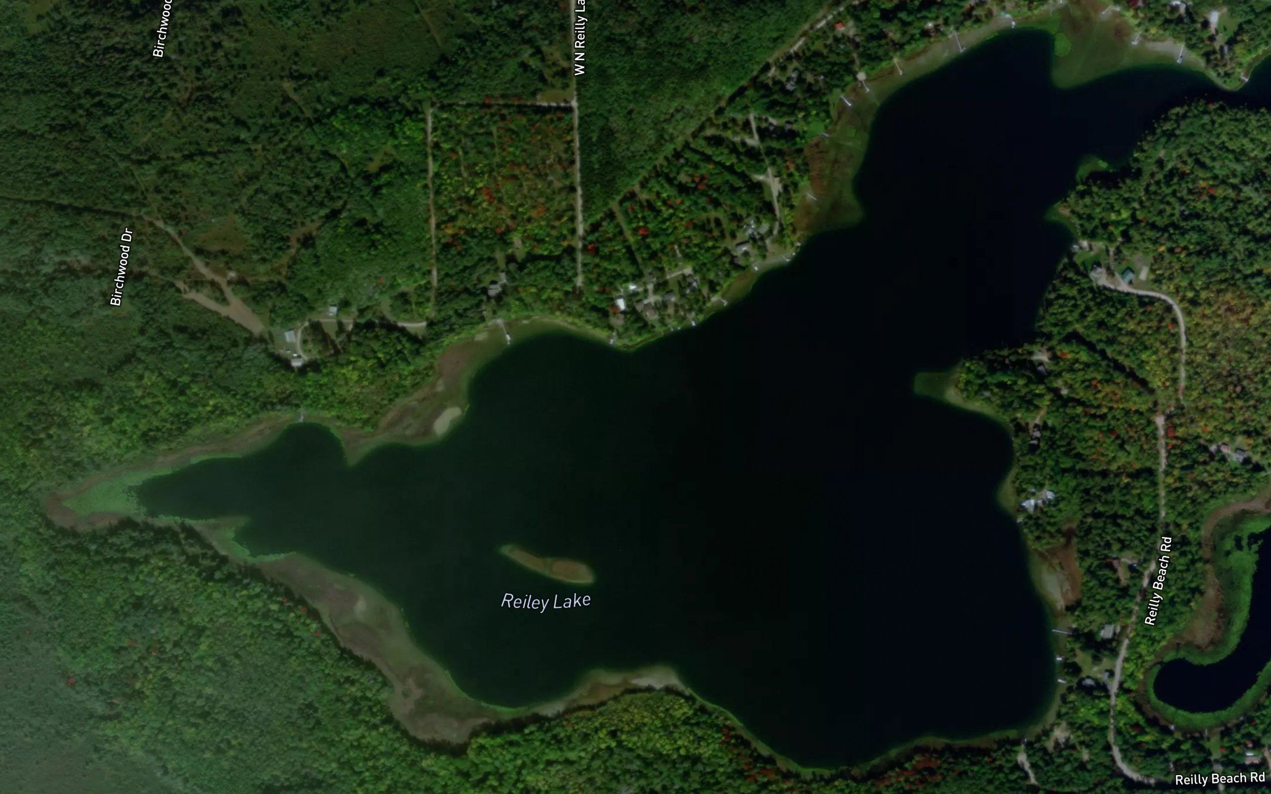 Reiley Lake