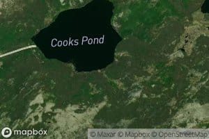 Cooks Pond