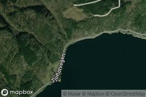 Rovika