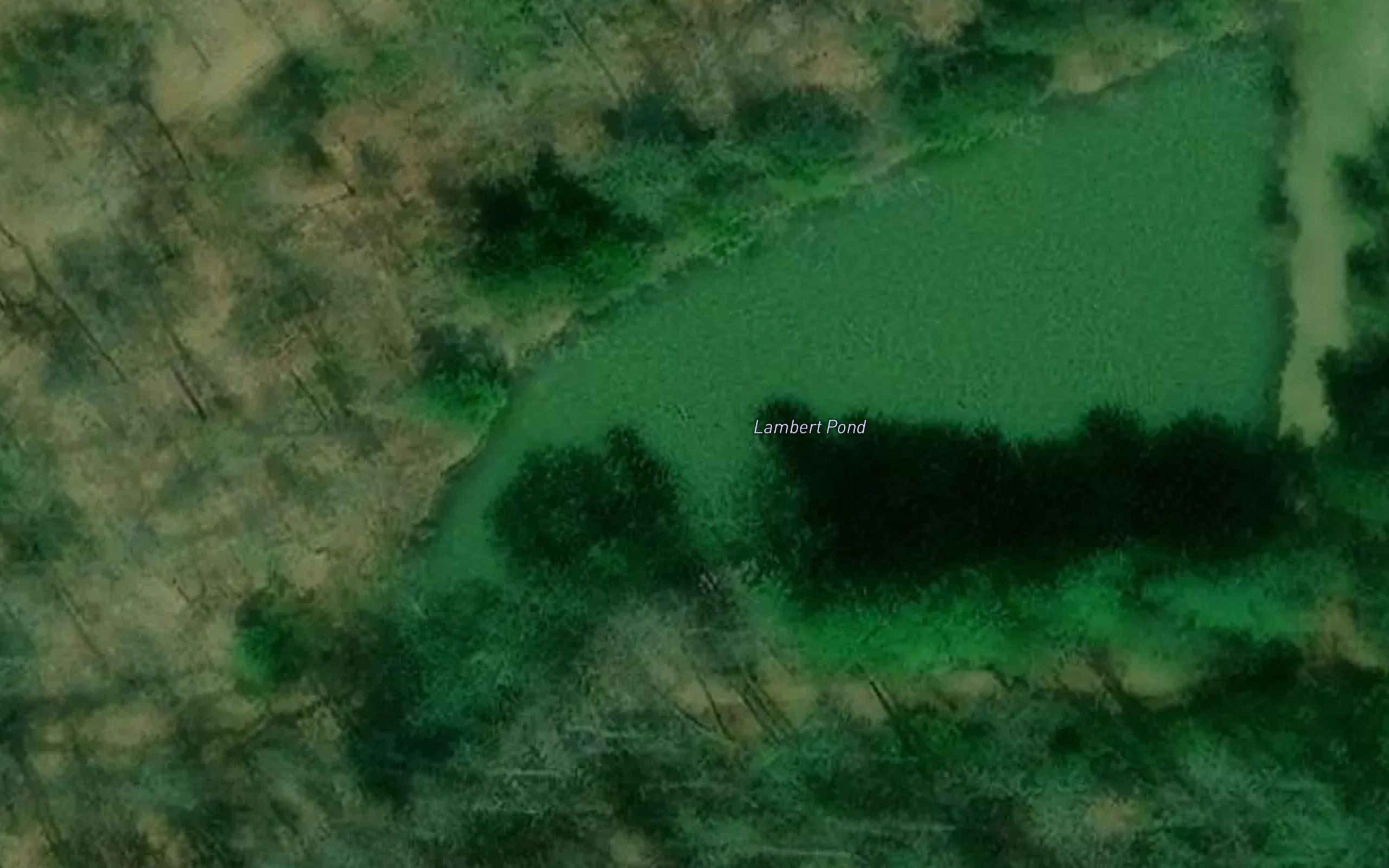 Lambert Pond