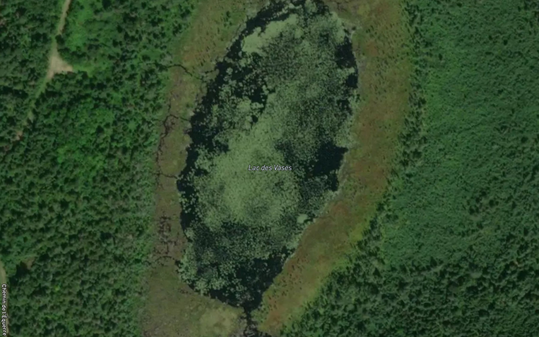 Satellite map of the Lac des Vases