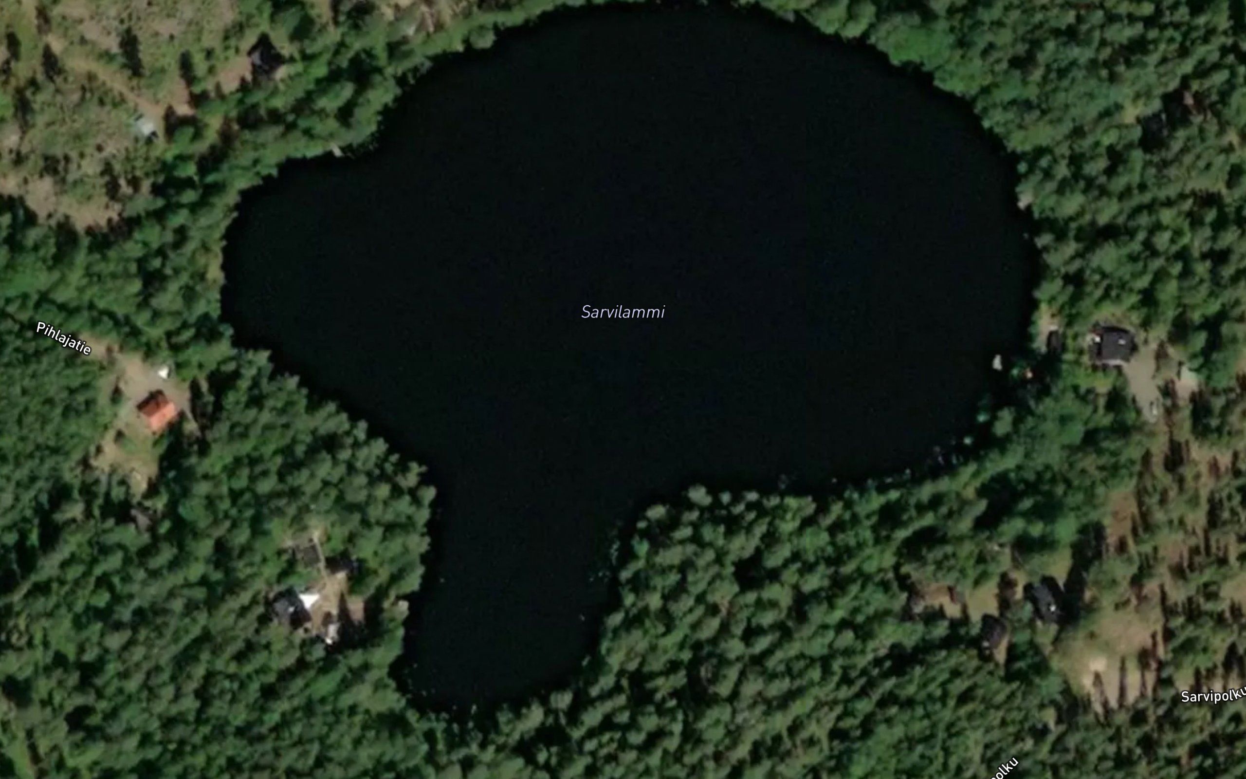 Sarvilammi
