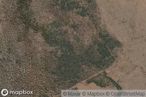 Piebald Creek
