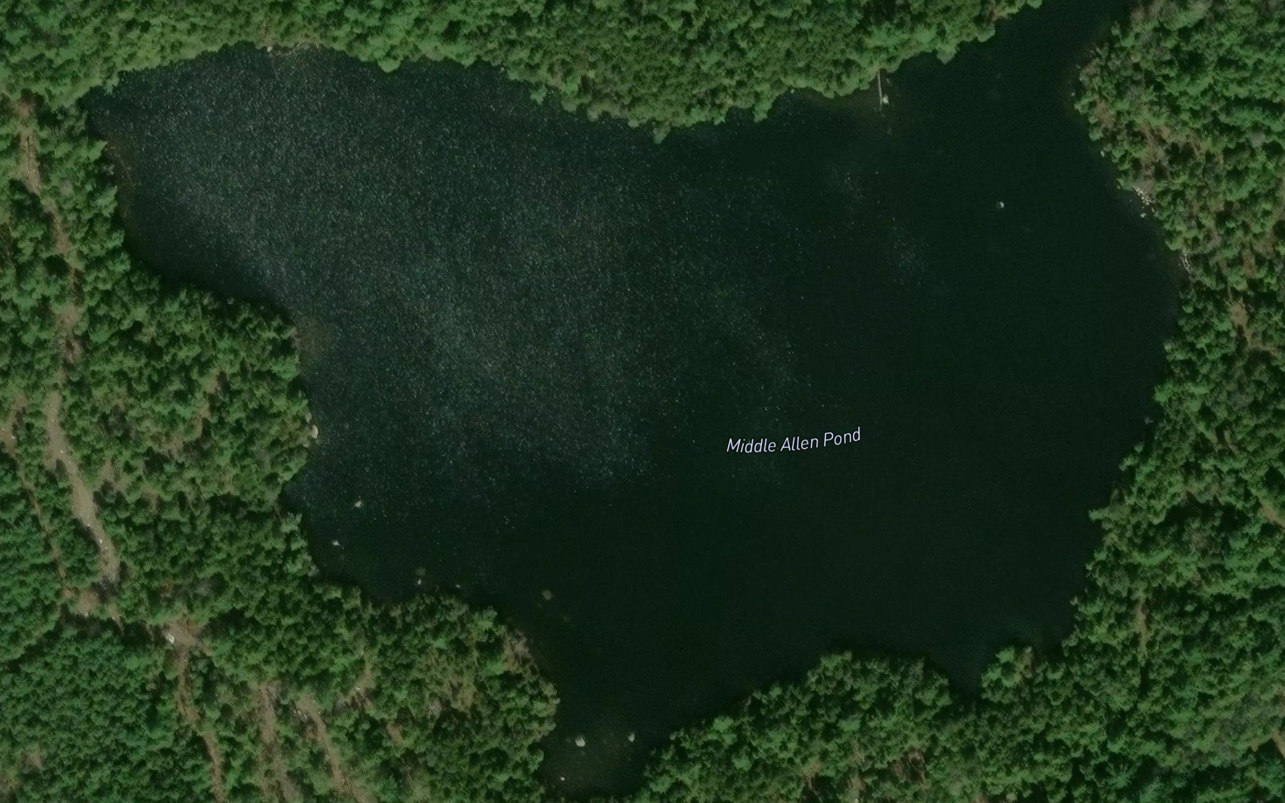 Middle Allen Pond