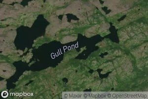 Gull Pond