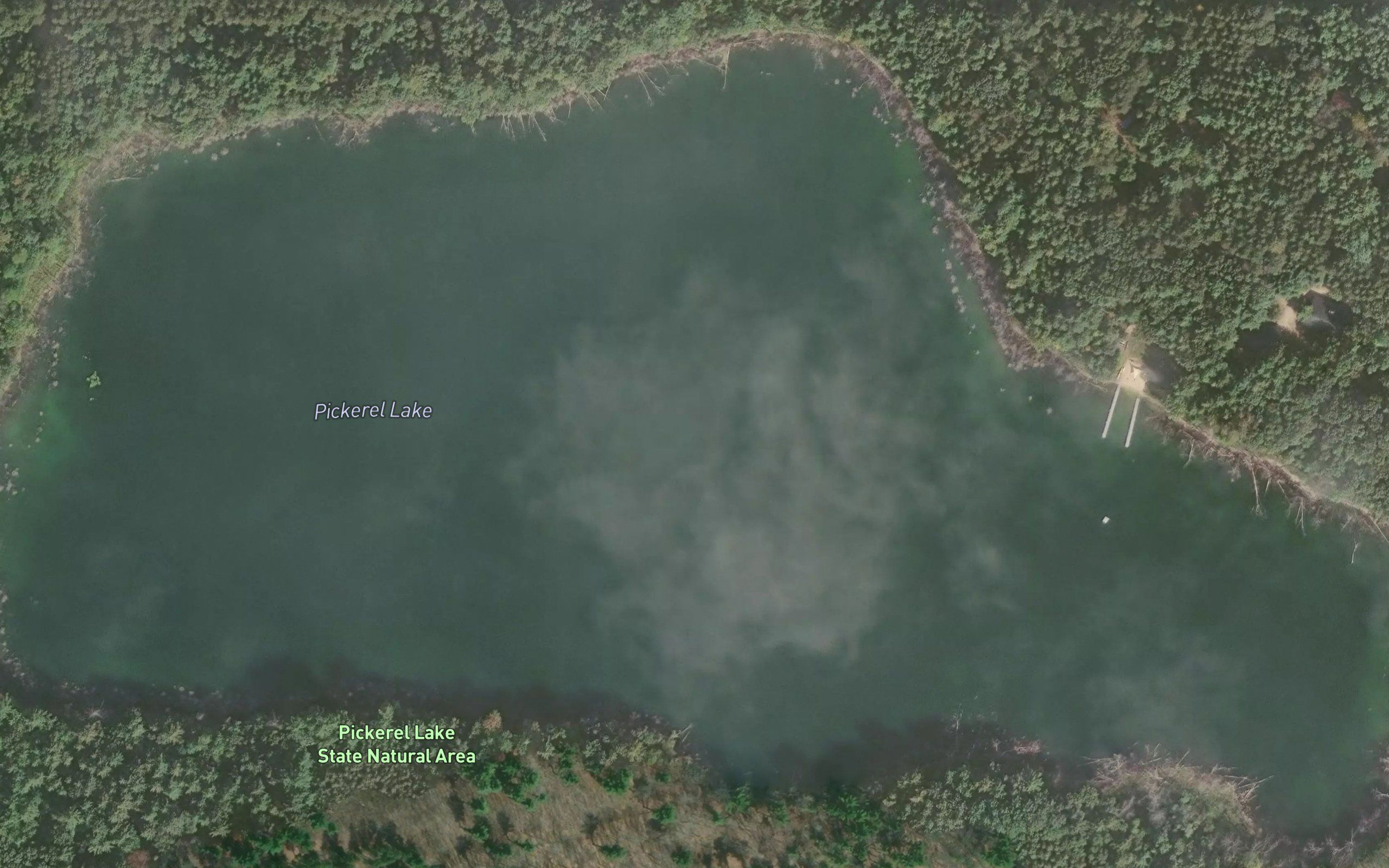 Pickerel Lake