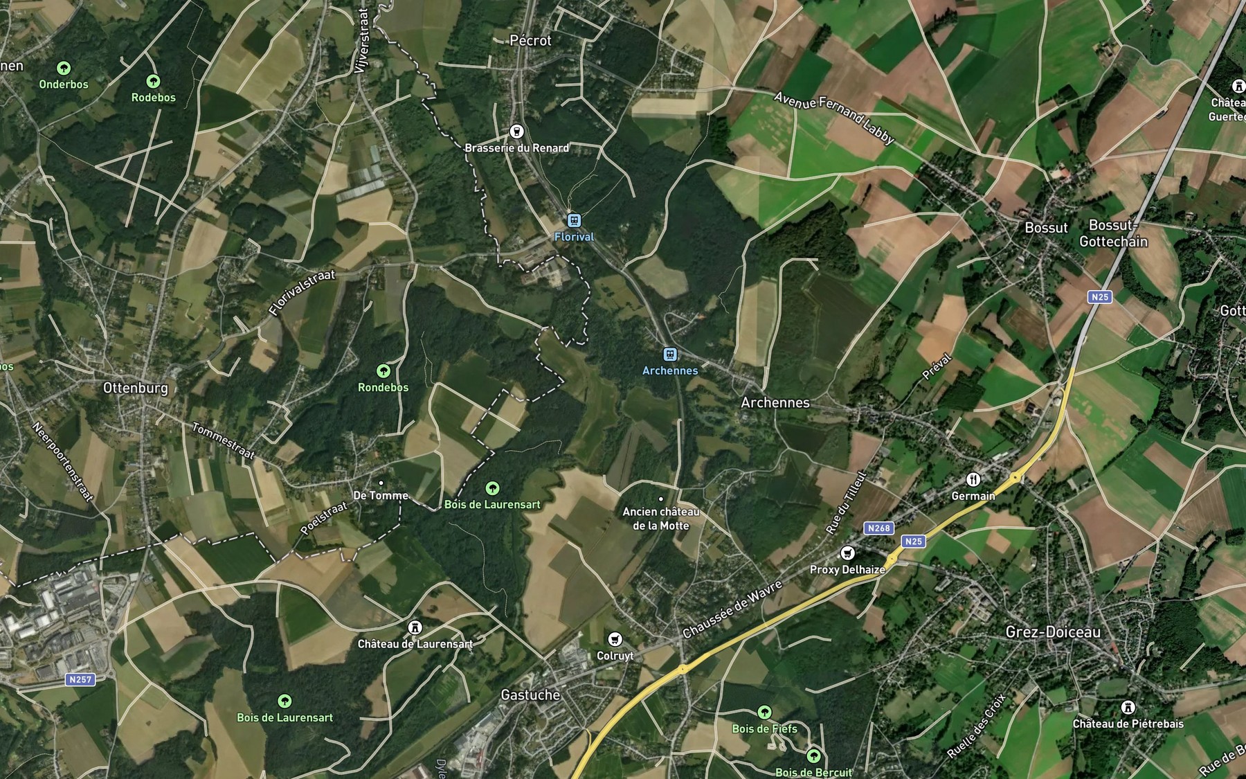 Satellite map of the Train