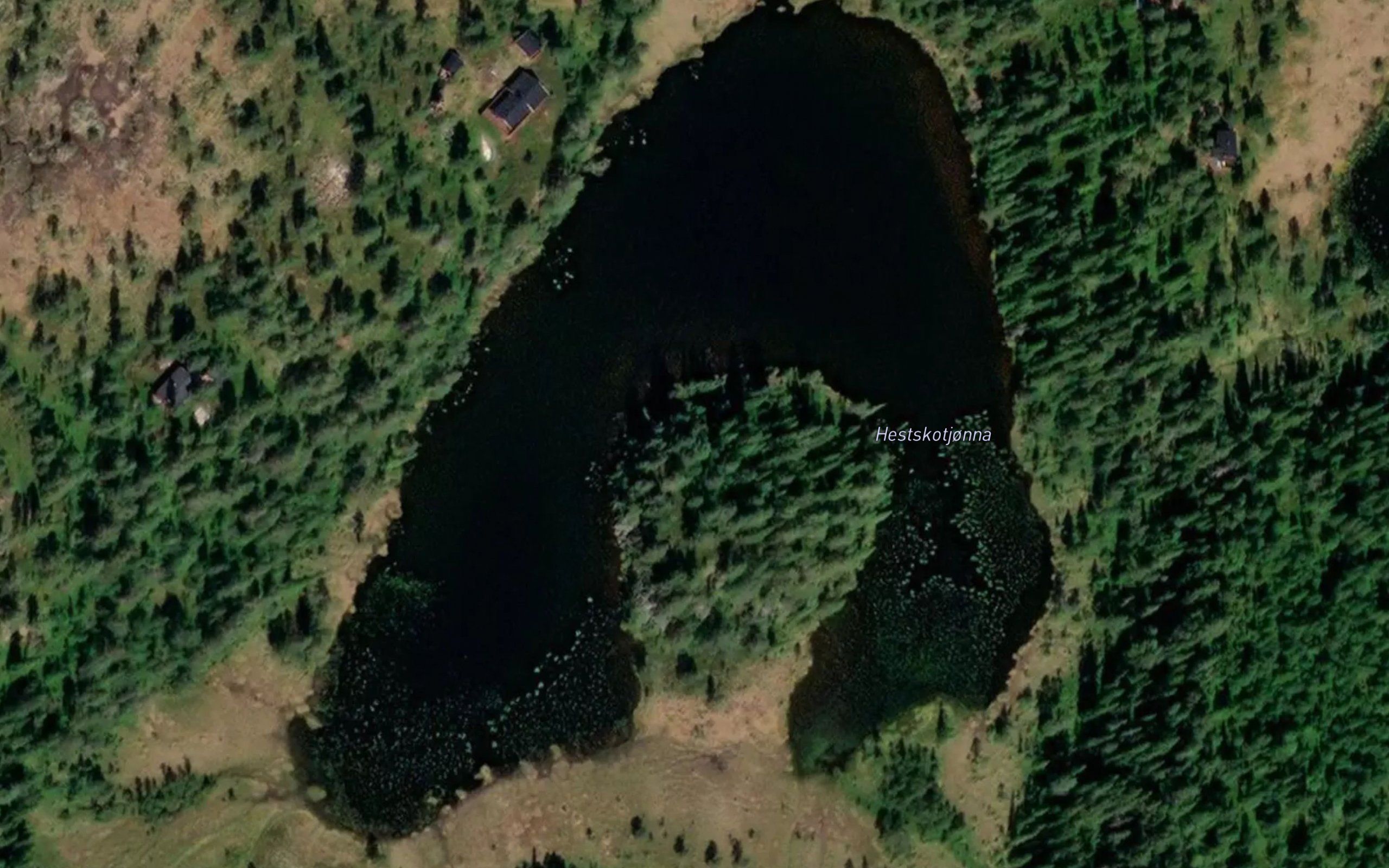 Hestskotjonna