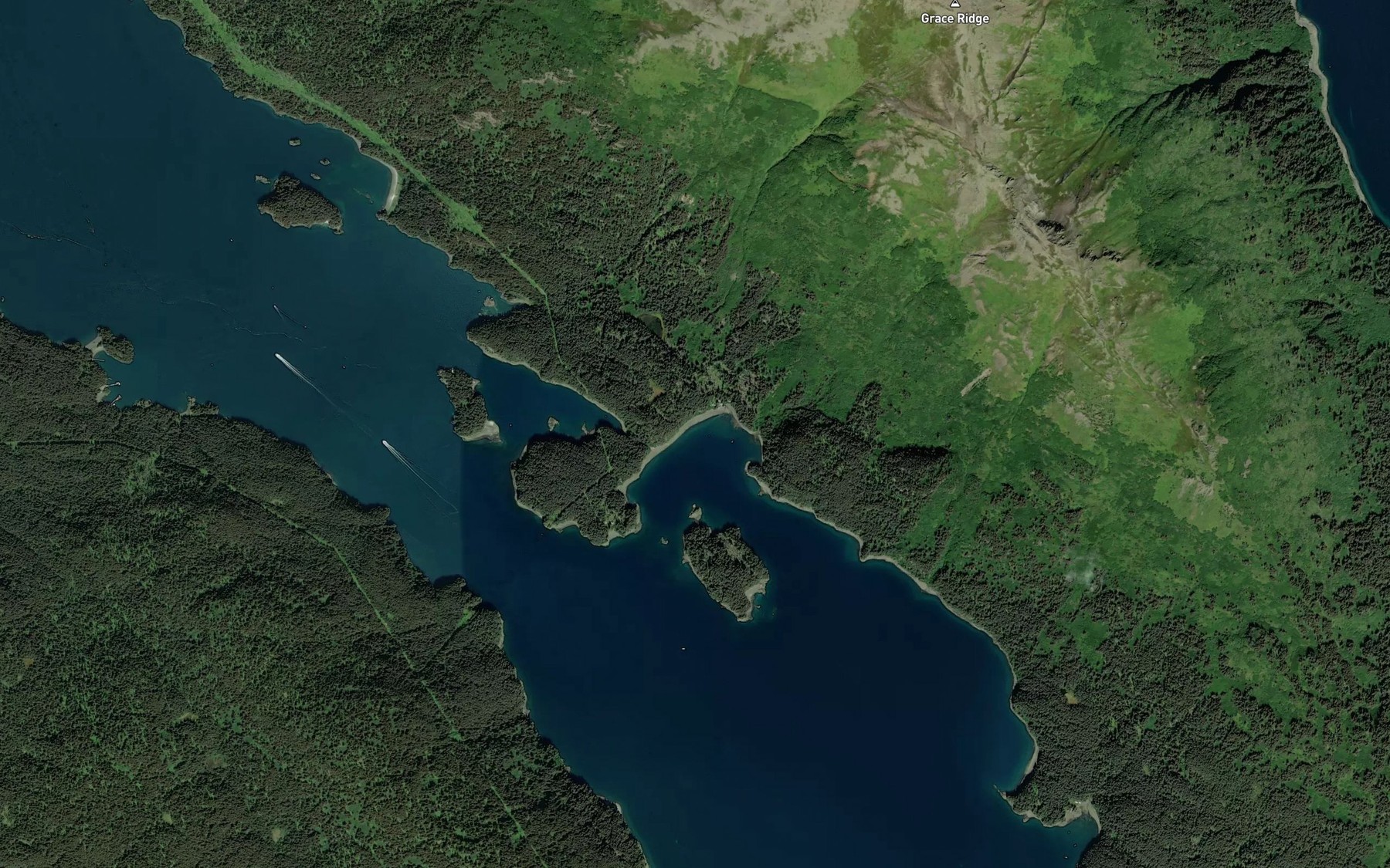 Satellite map of the San Juan Cove