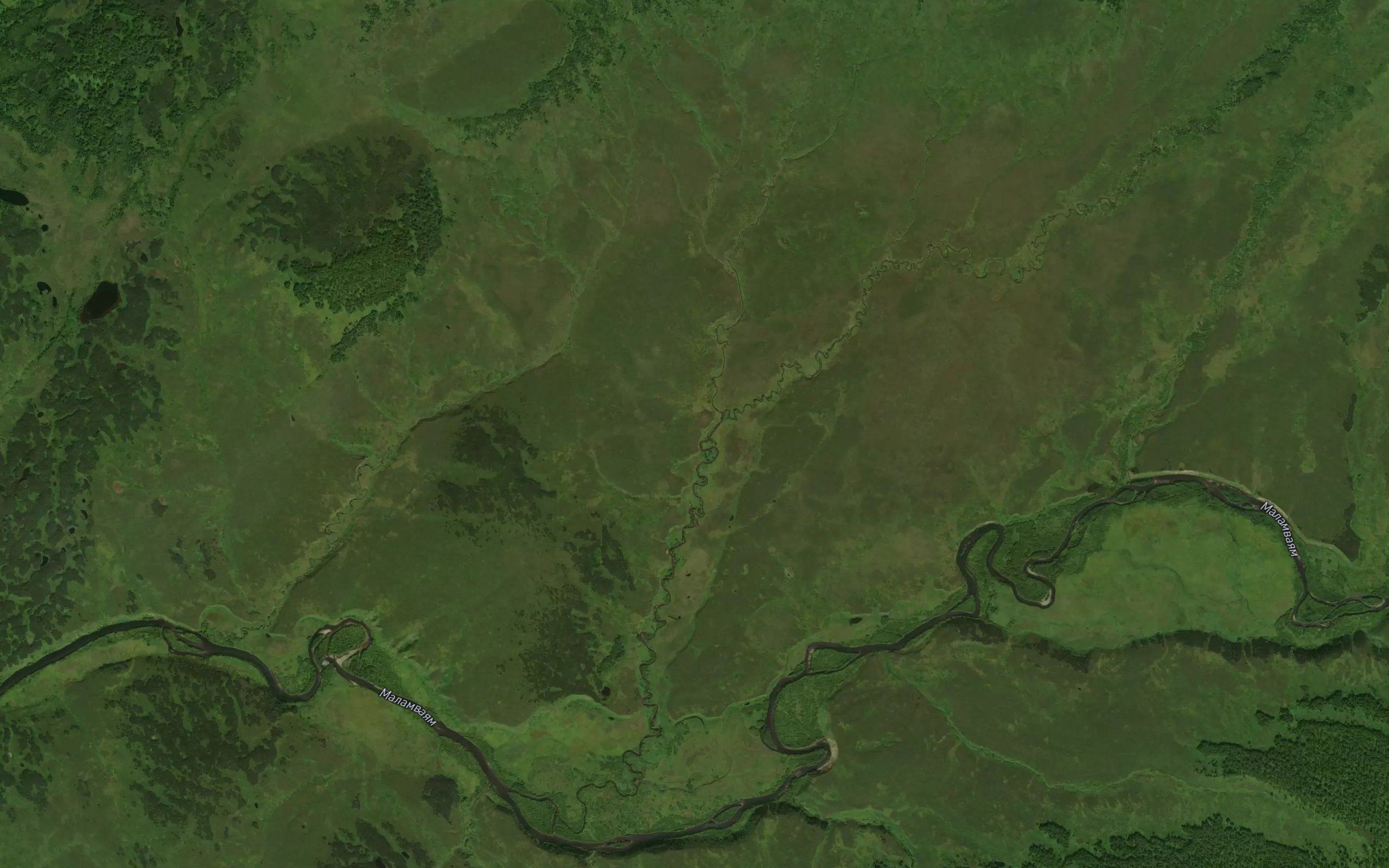Rodnikovyy