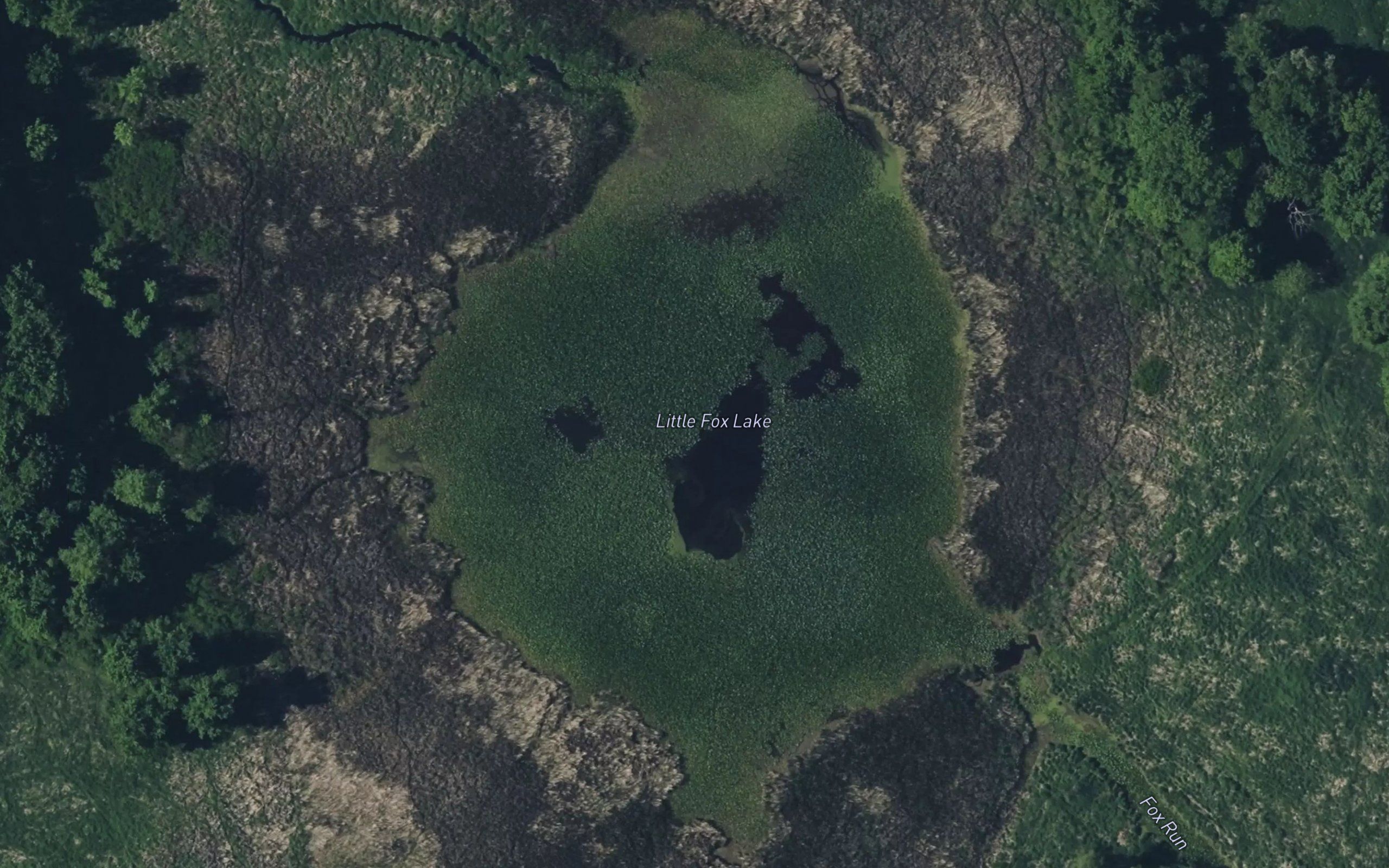 Little Fox Lake