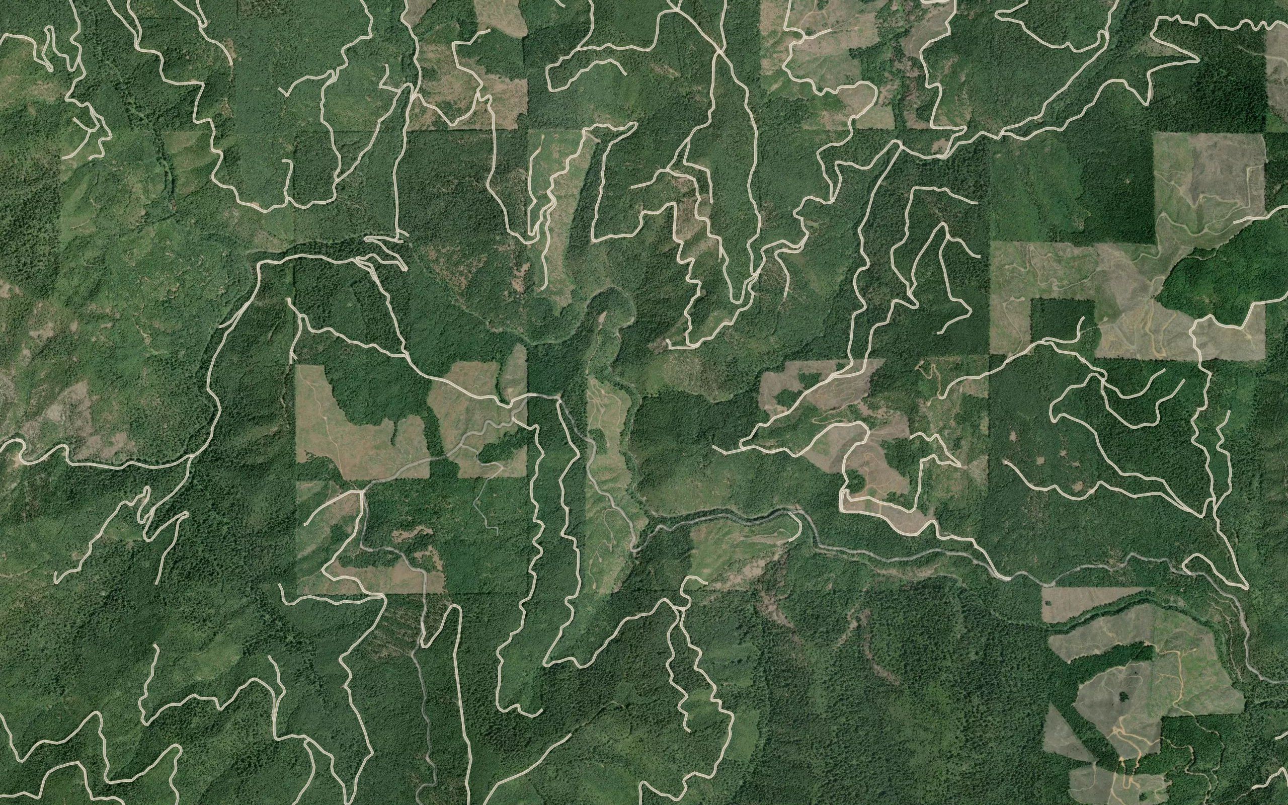 Elk Valley Creek