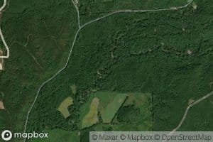 Bluegut Creek