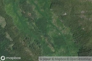 Haida Creek