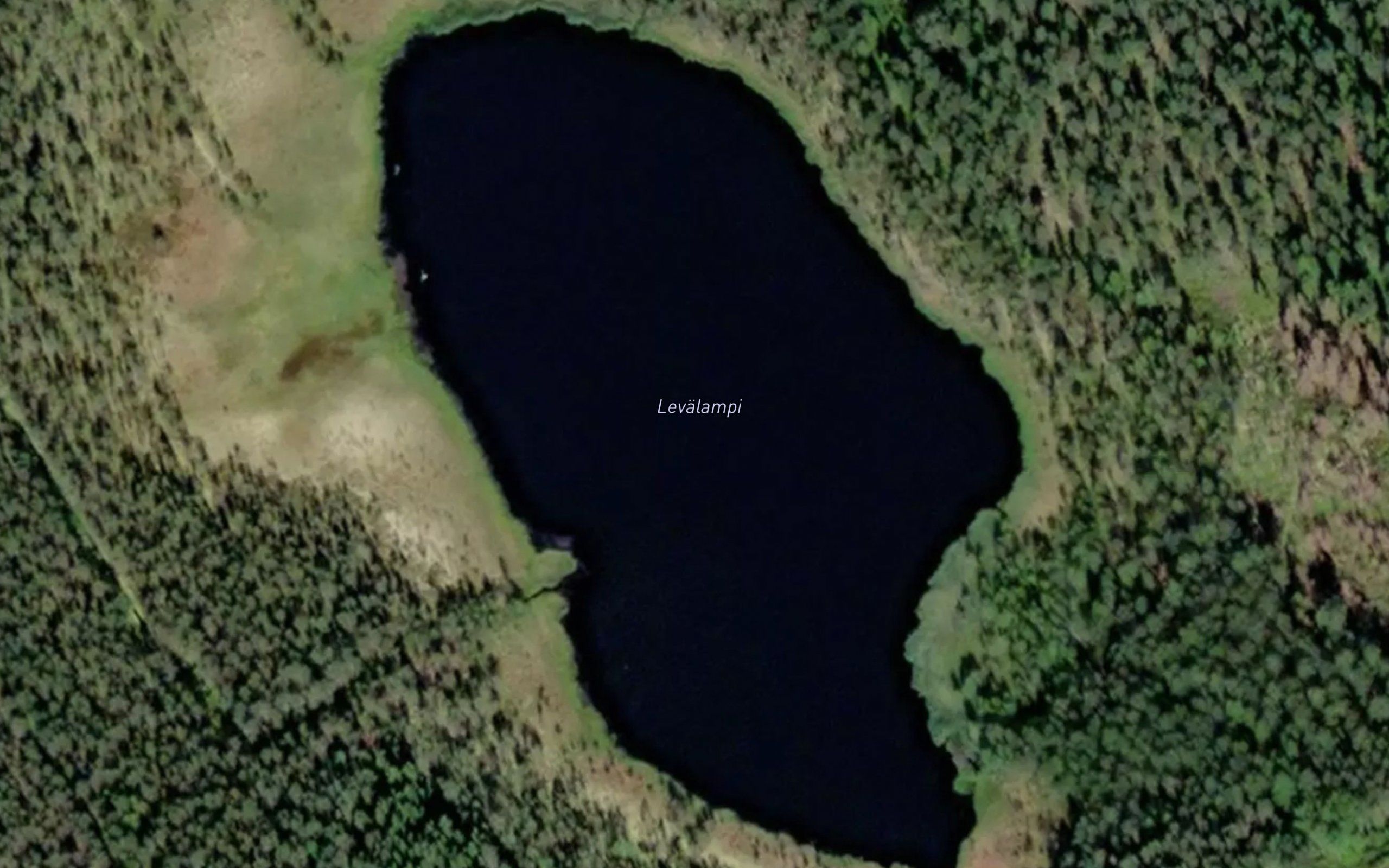 Levalampi