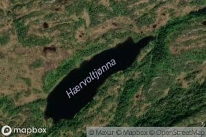 Haervoltjonna