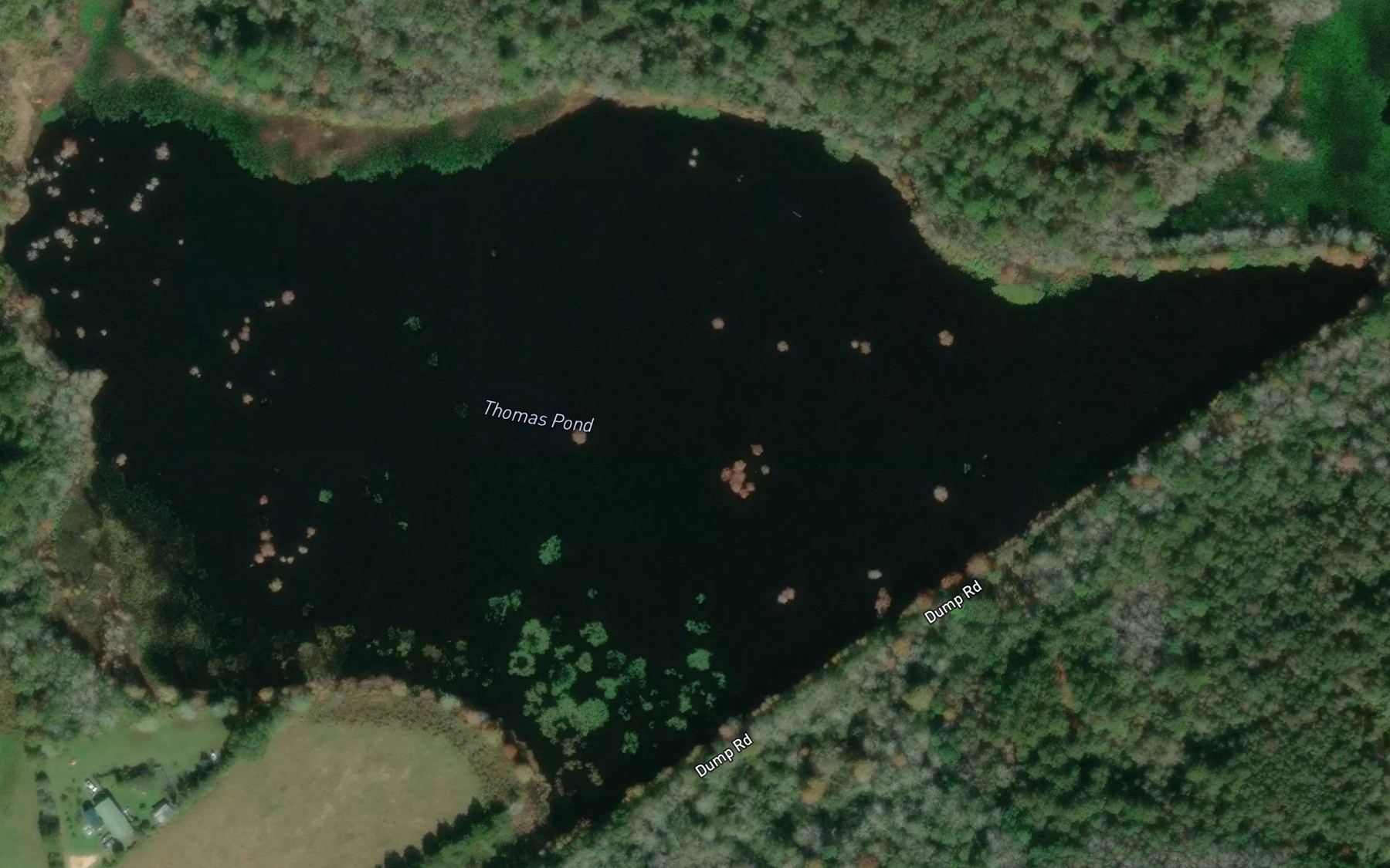 Satellite map of the Thomas Pond