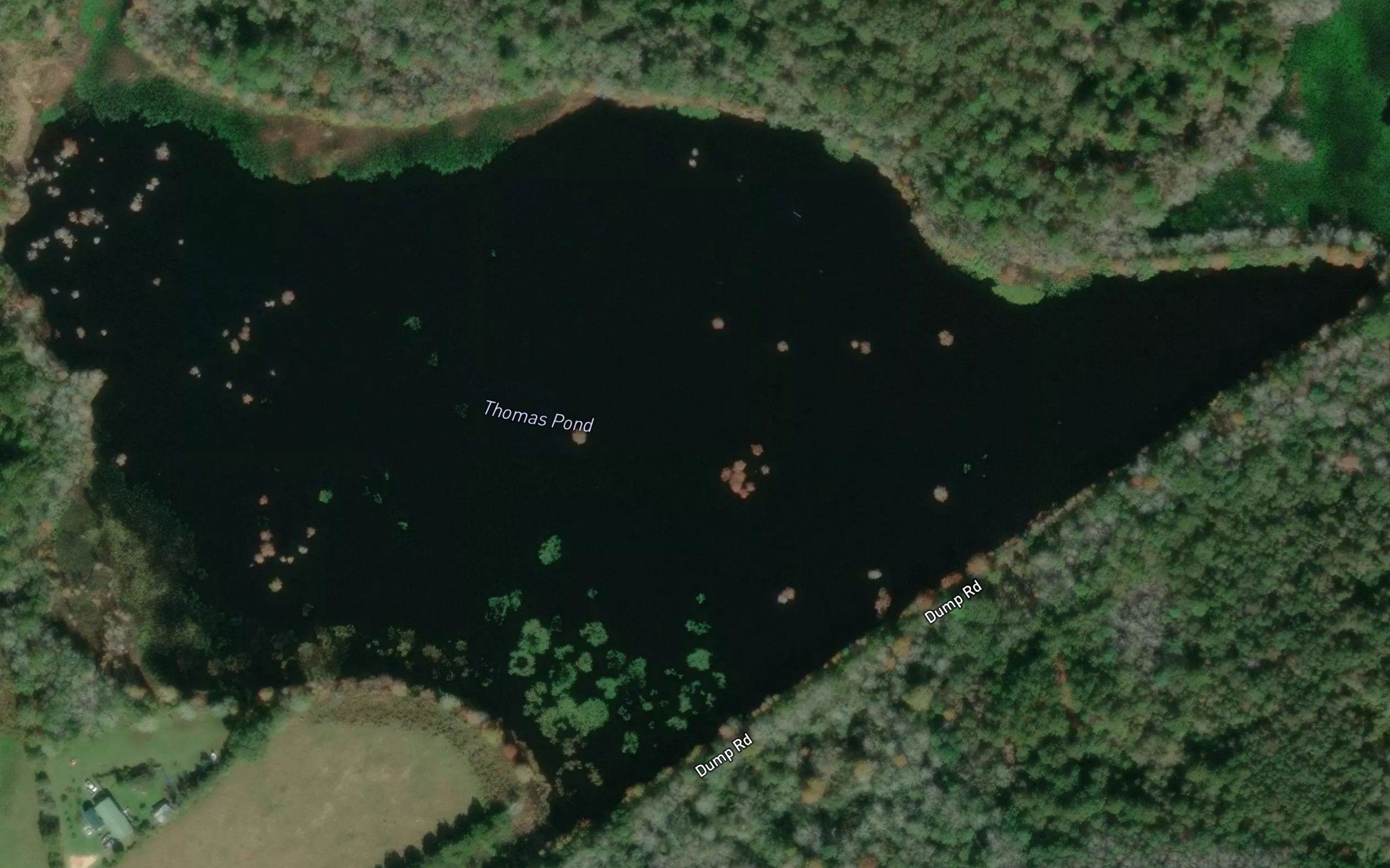 Thomas Pond