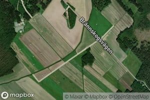 Brandskogsdiket