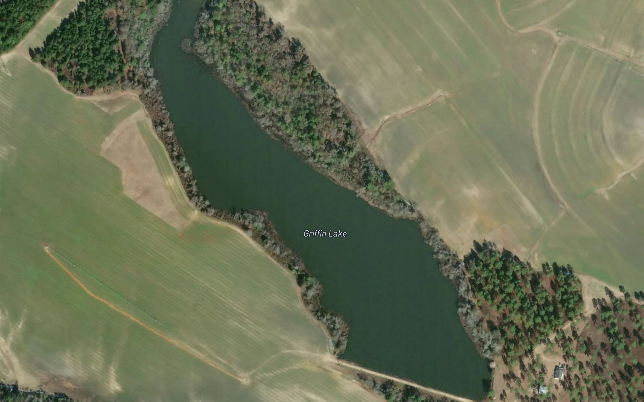 Griffin Lake
